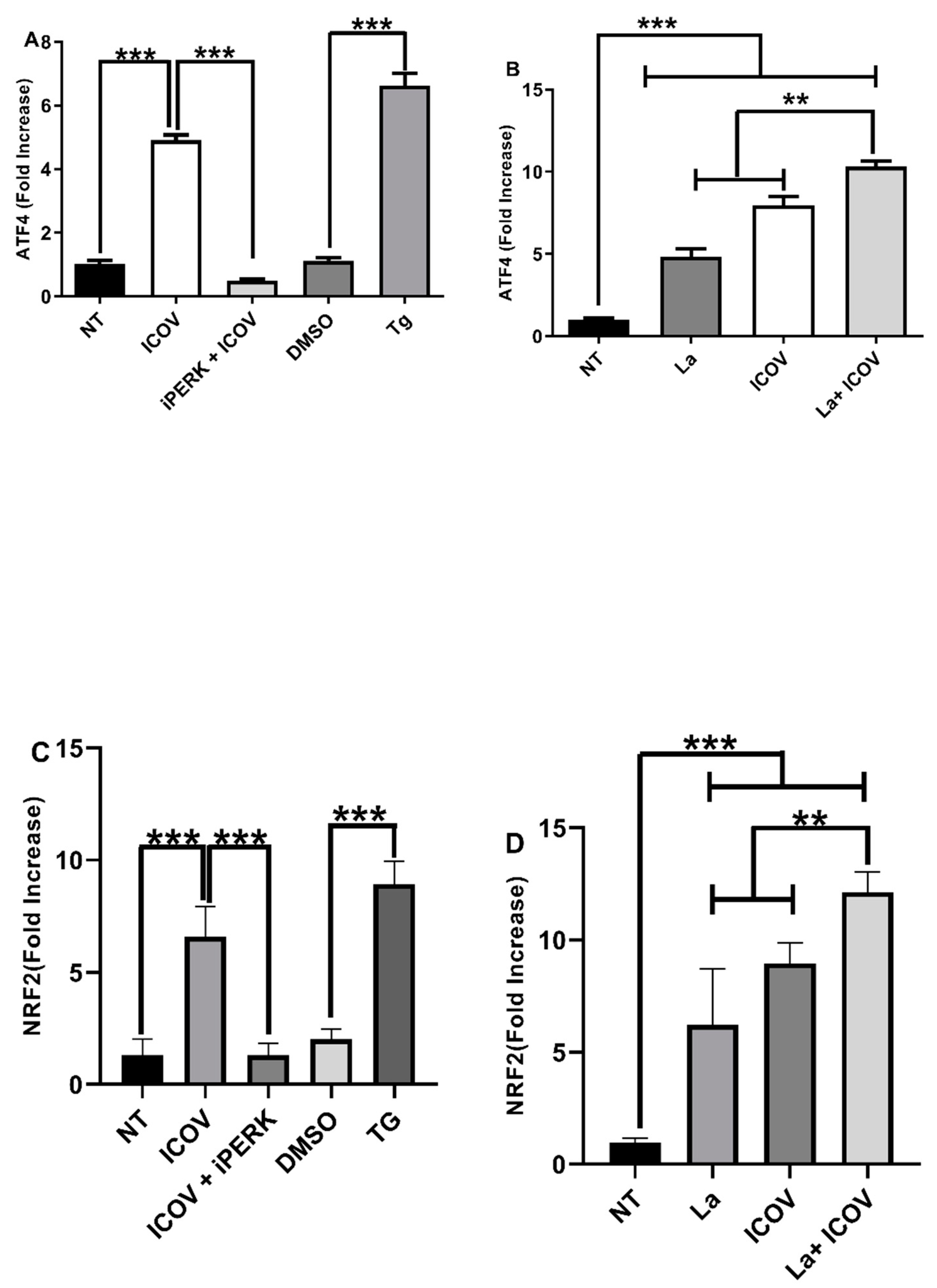 Viruses 14 01948 g005