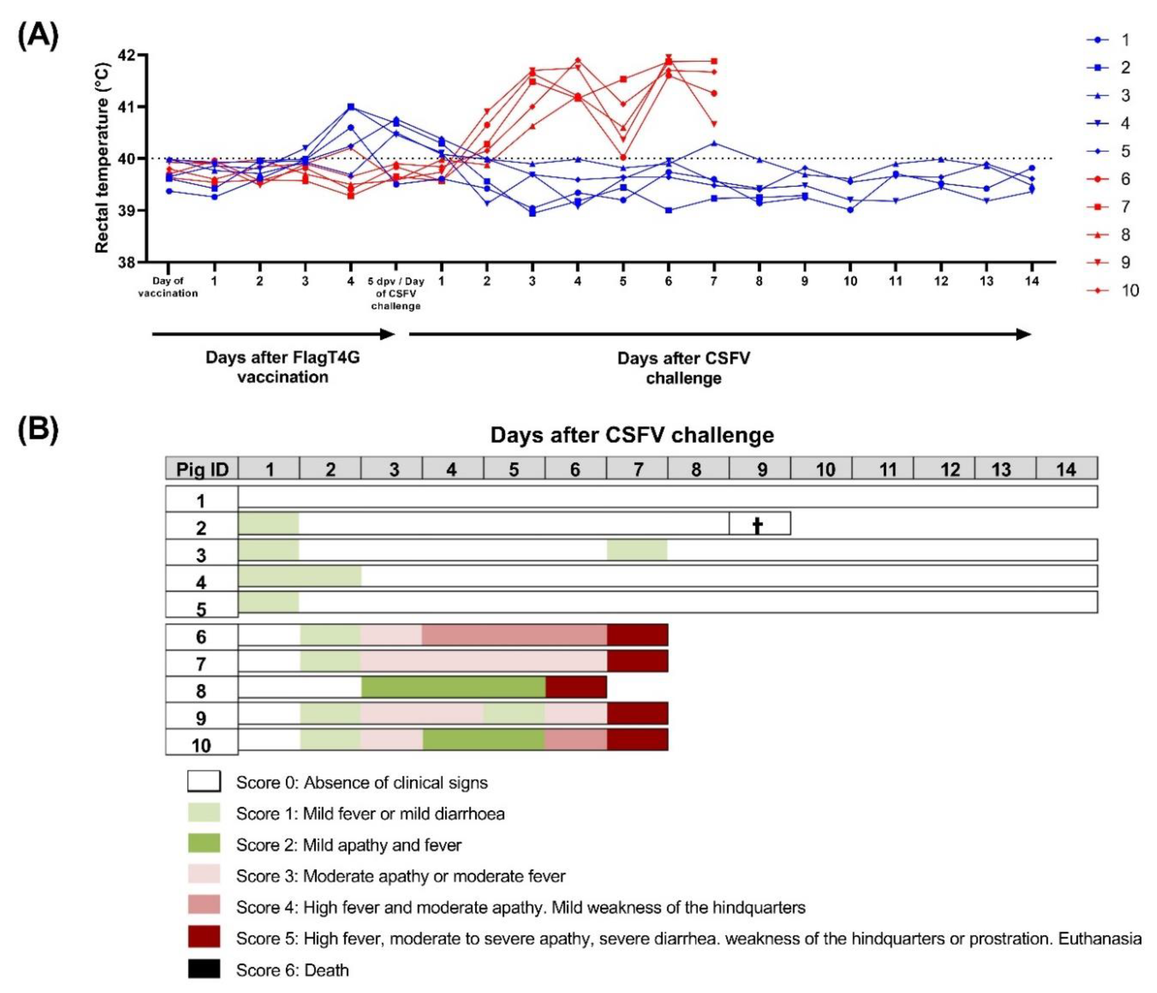 Viruses 14 01954 g001 Viruses 14 01954 g001