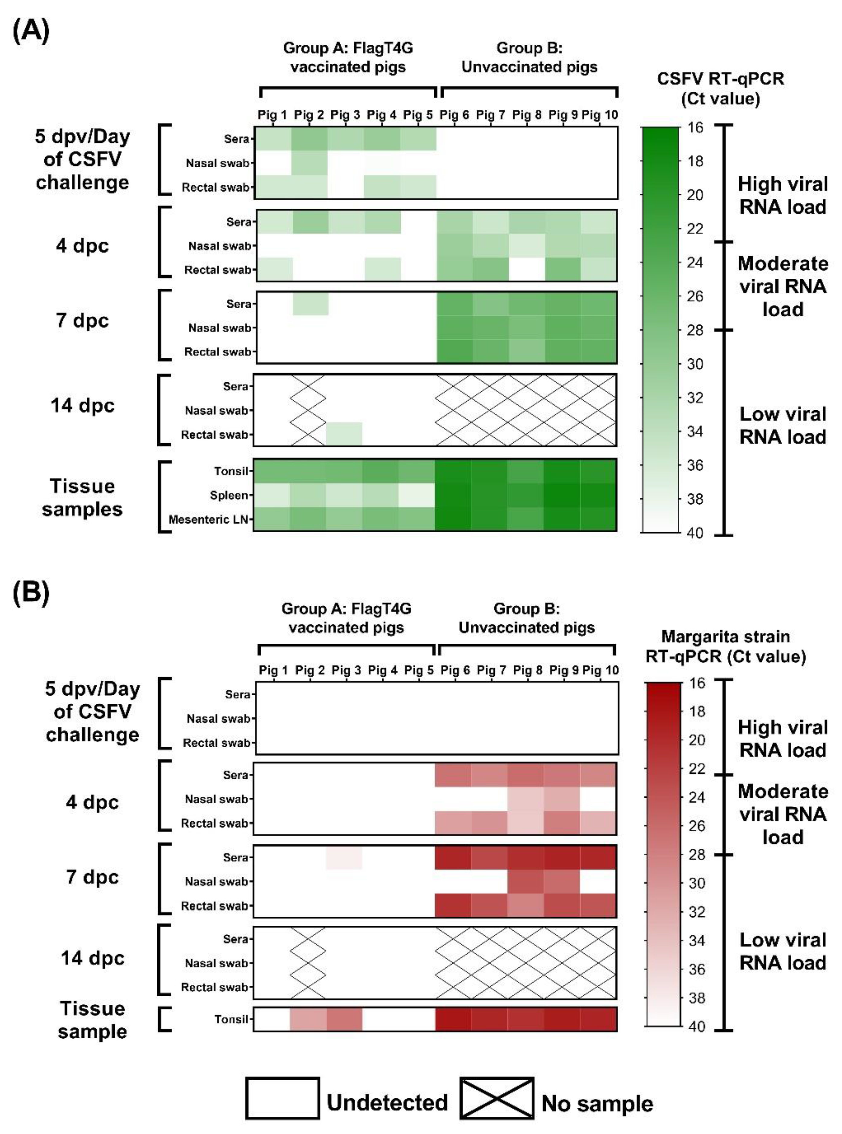 Viruses 14 01954 g004 Viruses 14 01954 g004