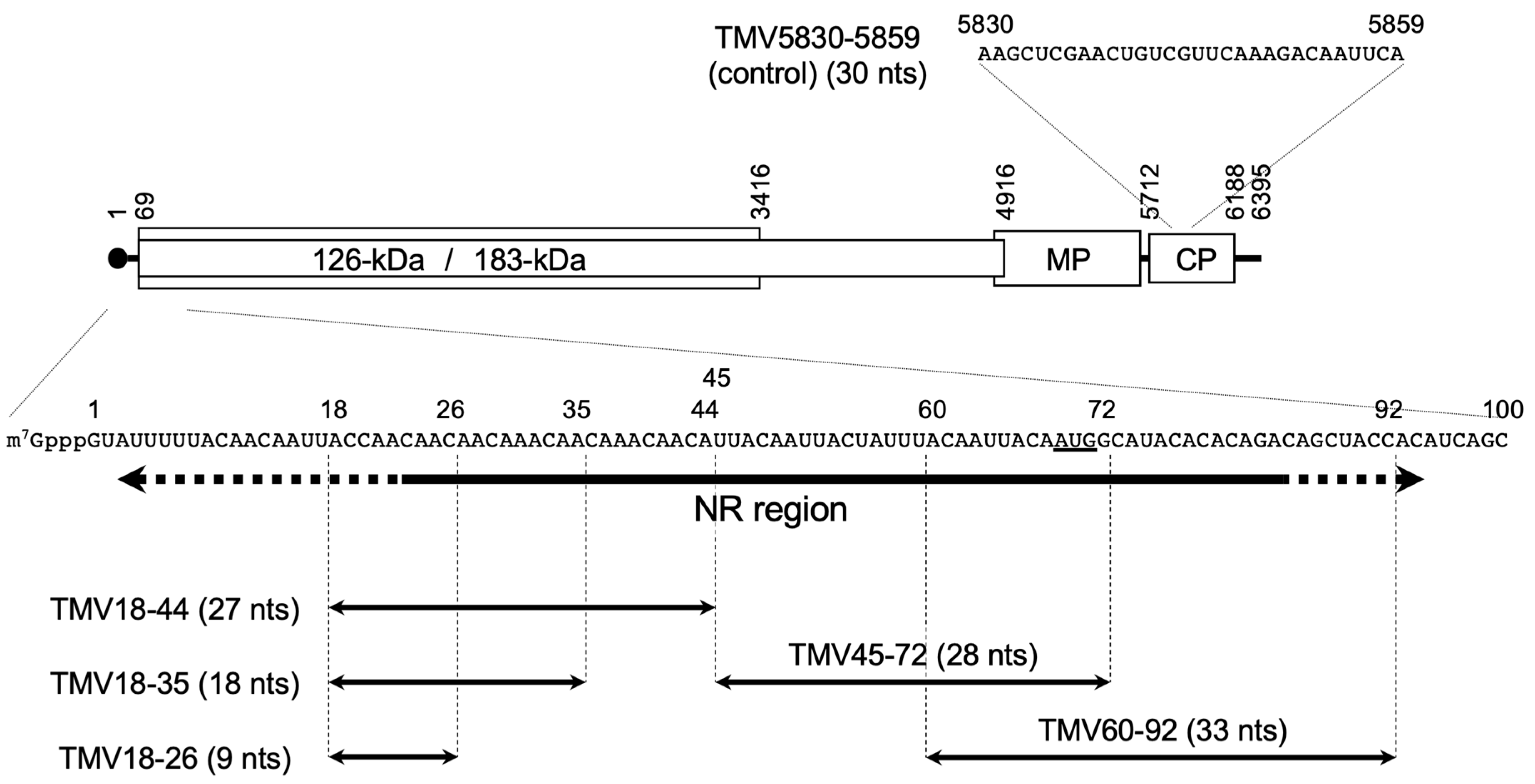 Viruses 14 01962 g001