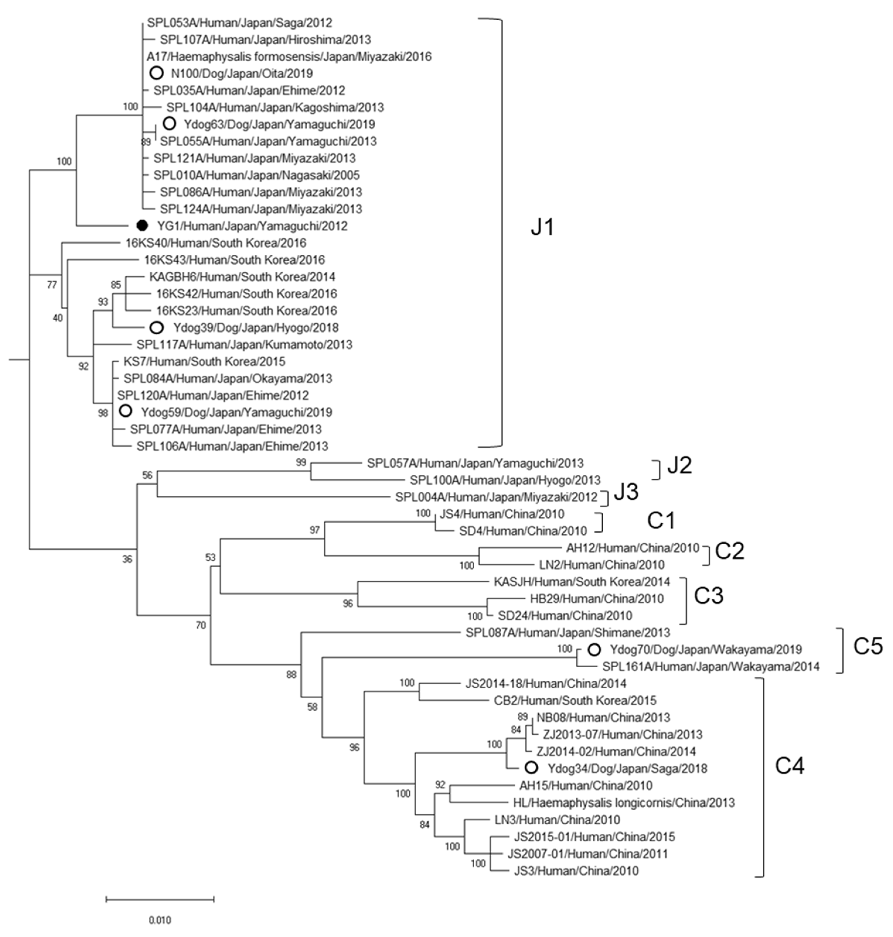 Viruses 14 01963 g003 550