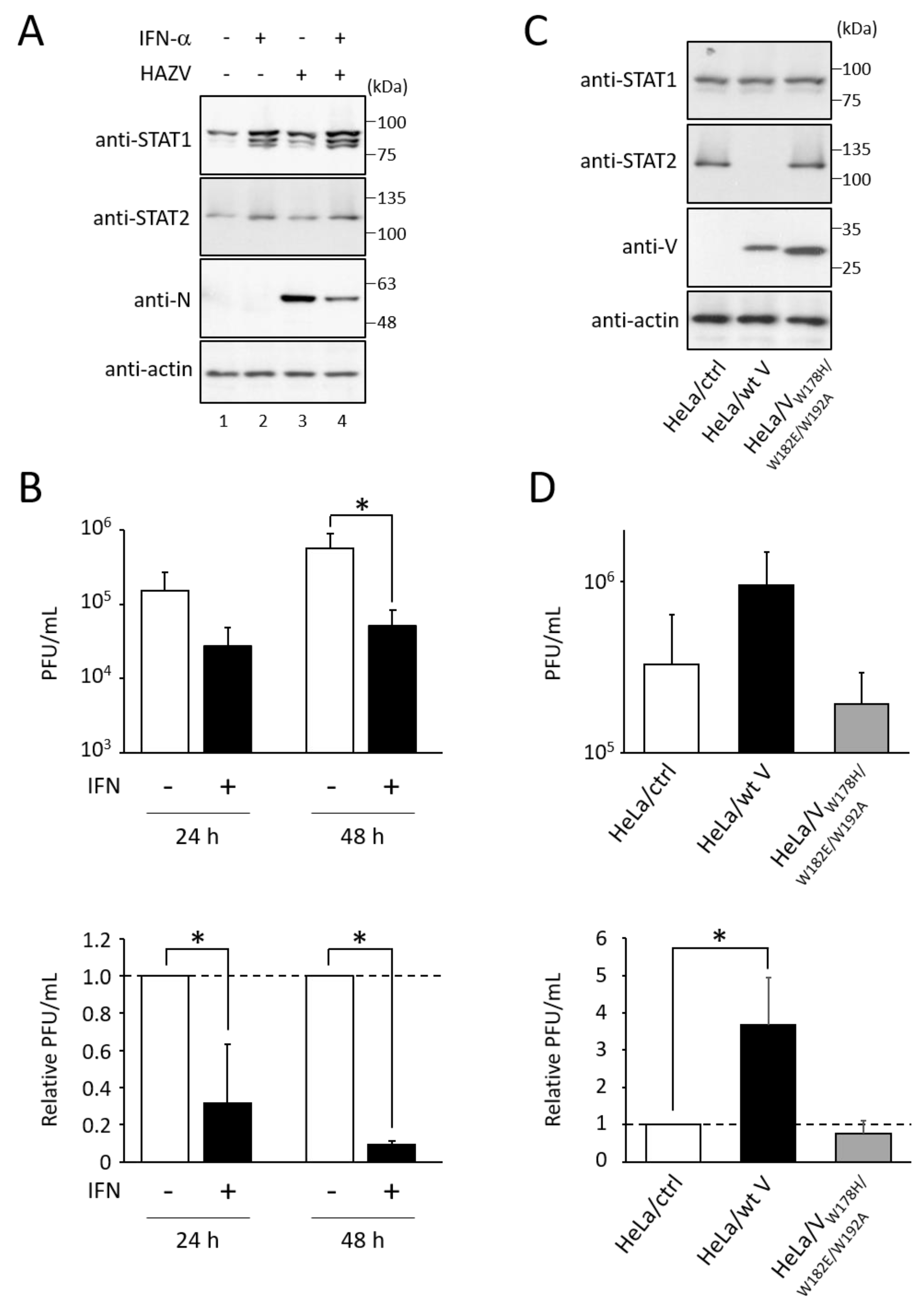 Viruses 14 01965 g001