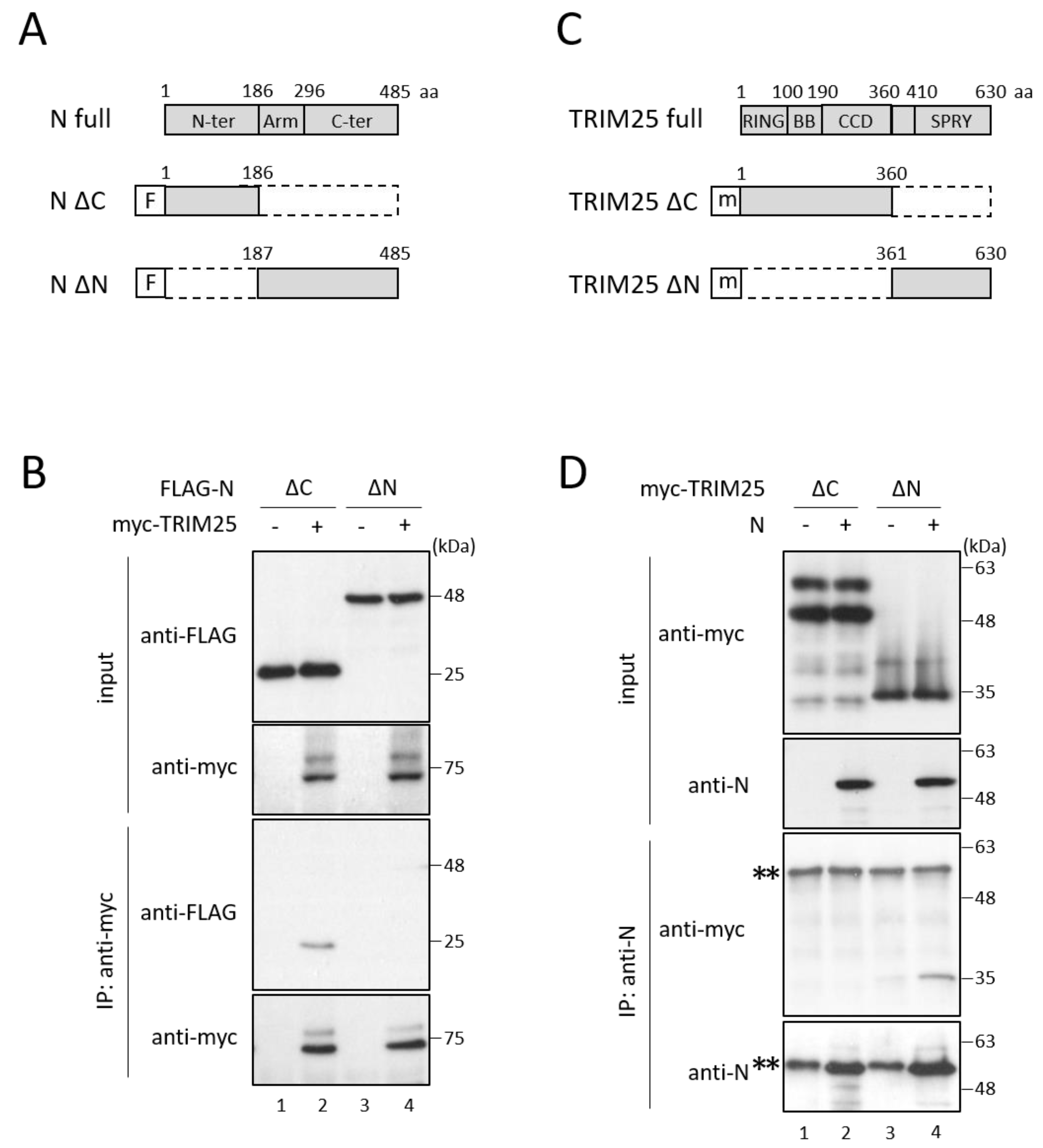 Viruses 14 01965 g003