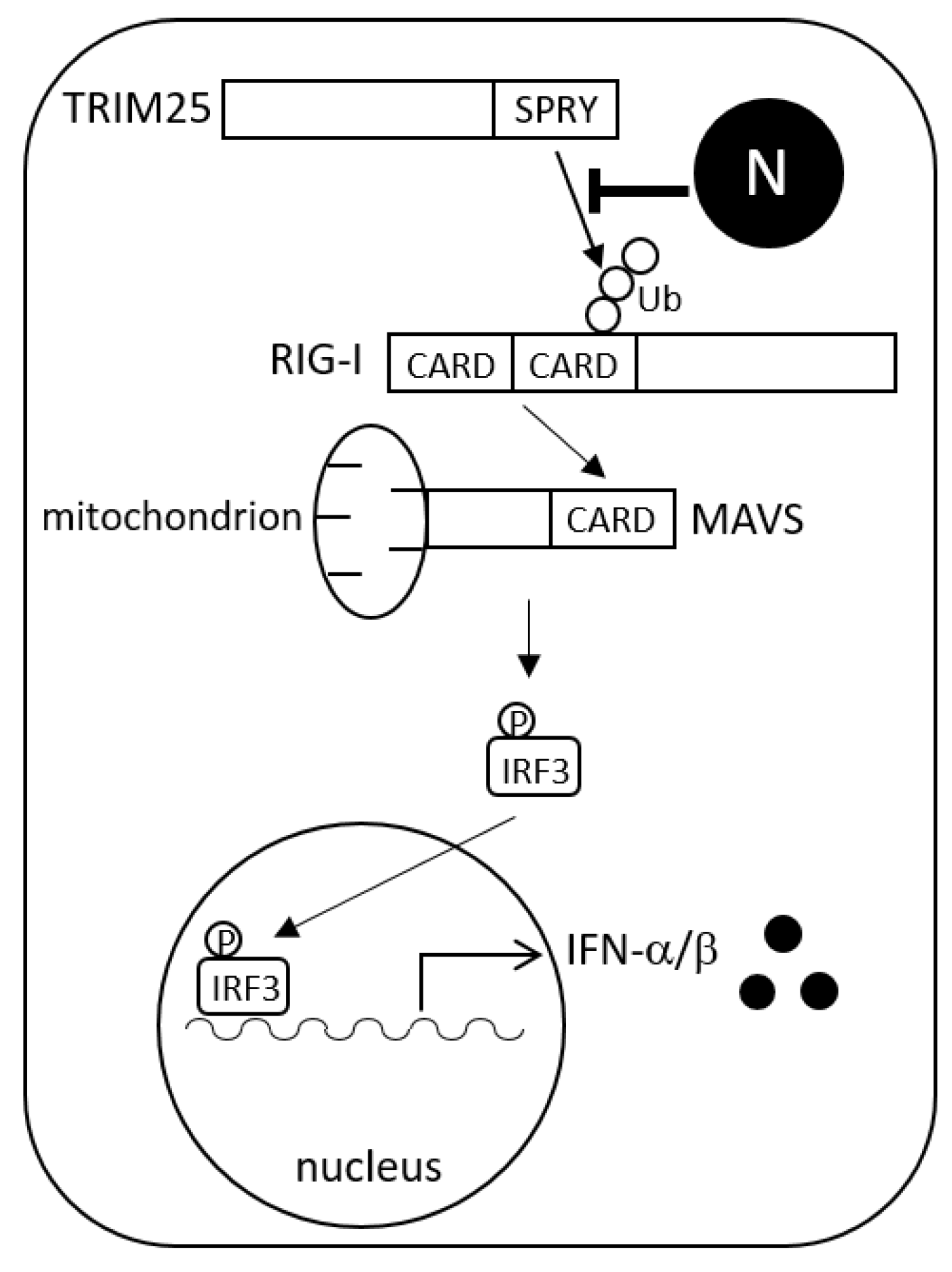 Viruses 14 01965 g007
