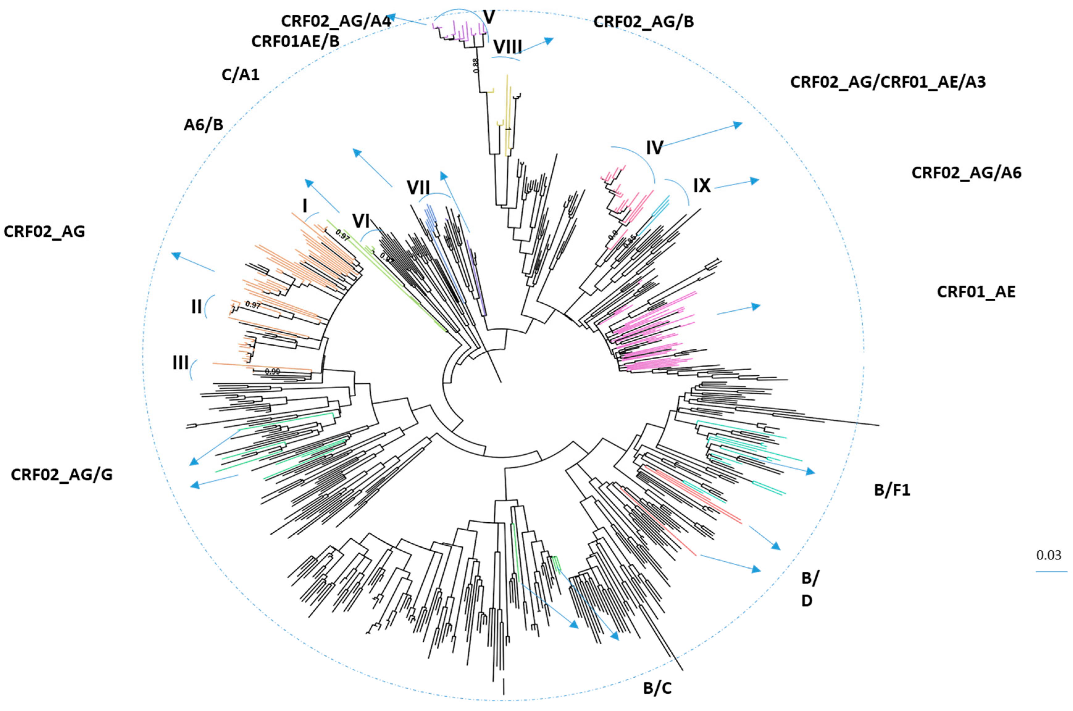 Viruses 14 01970 g002 550