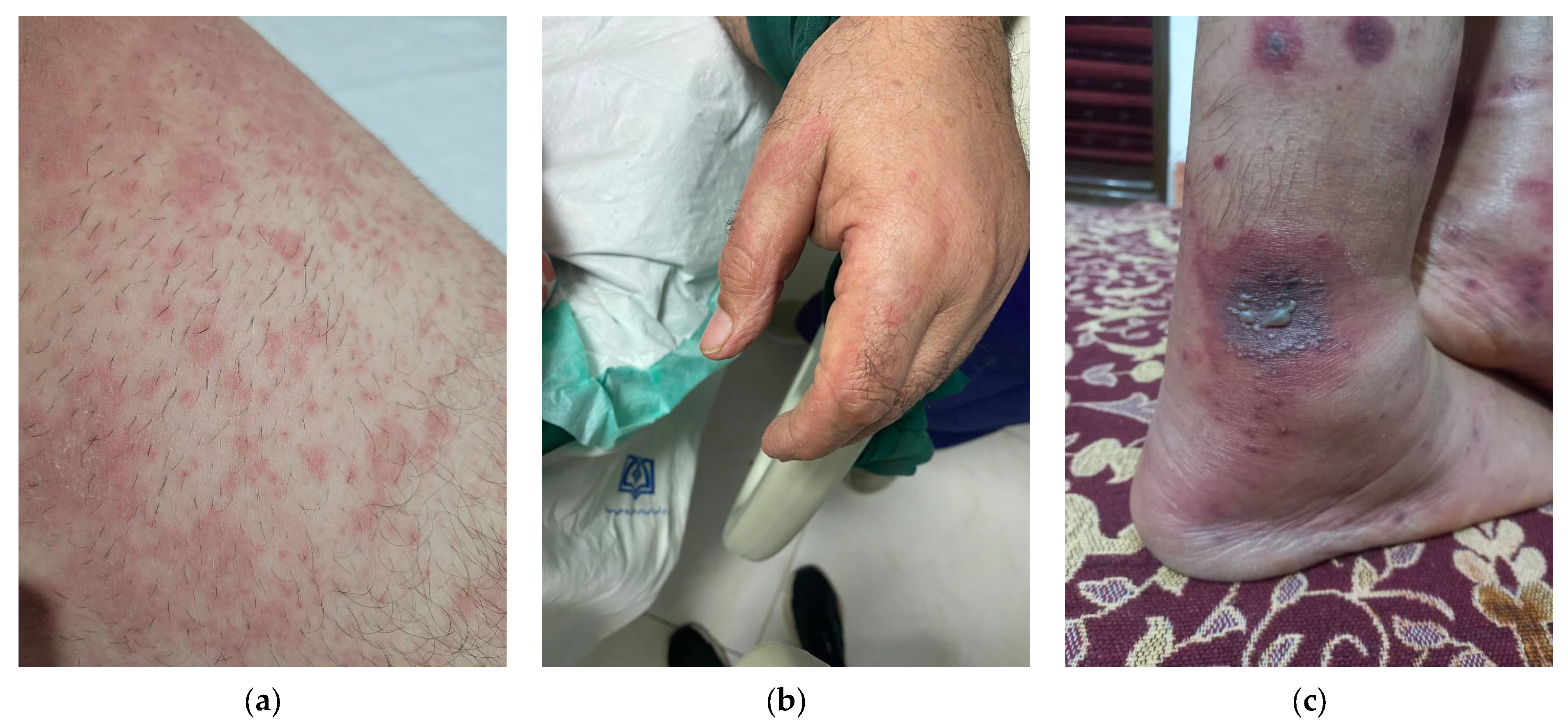 Viruses 14 01972 g001