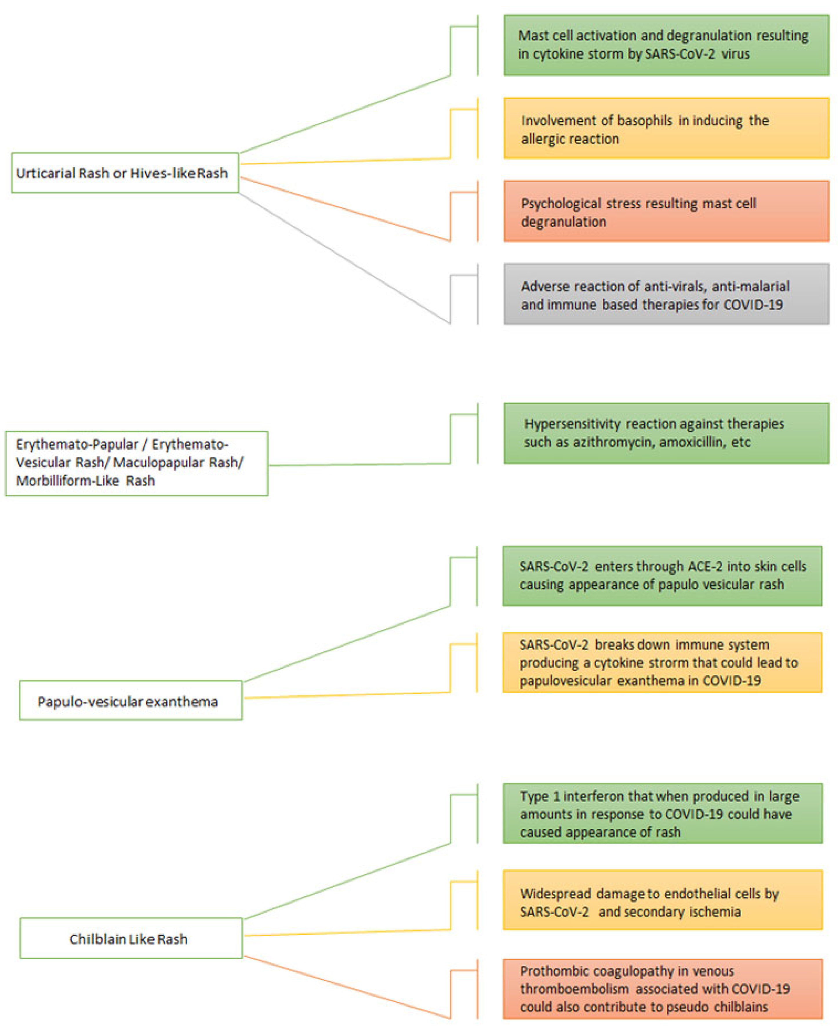 Viruses 14 01972 g002
