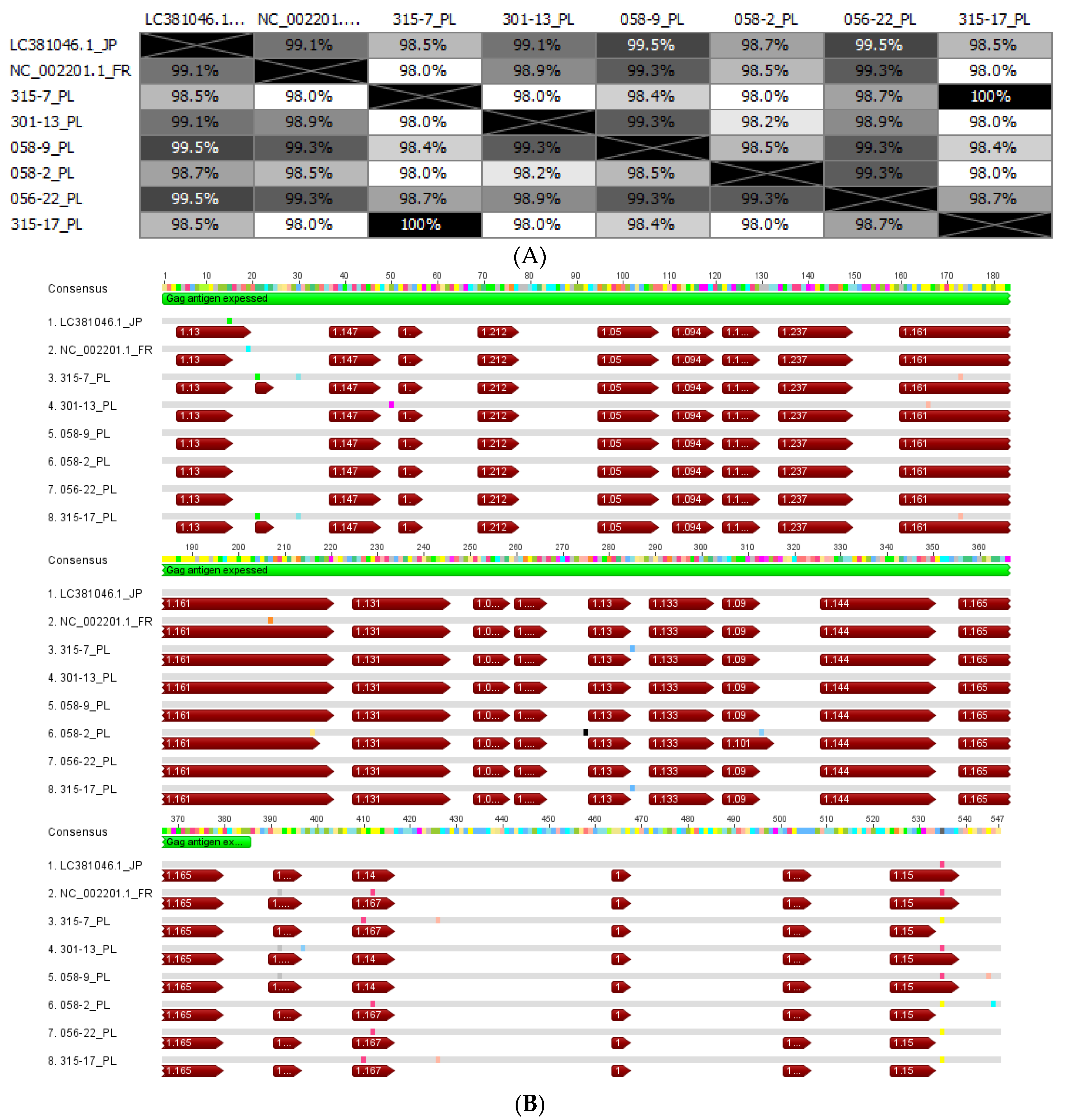 Viruses 14 01973 g002 550
