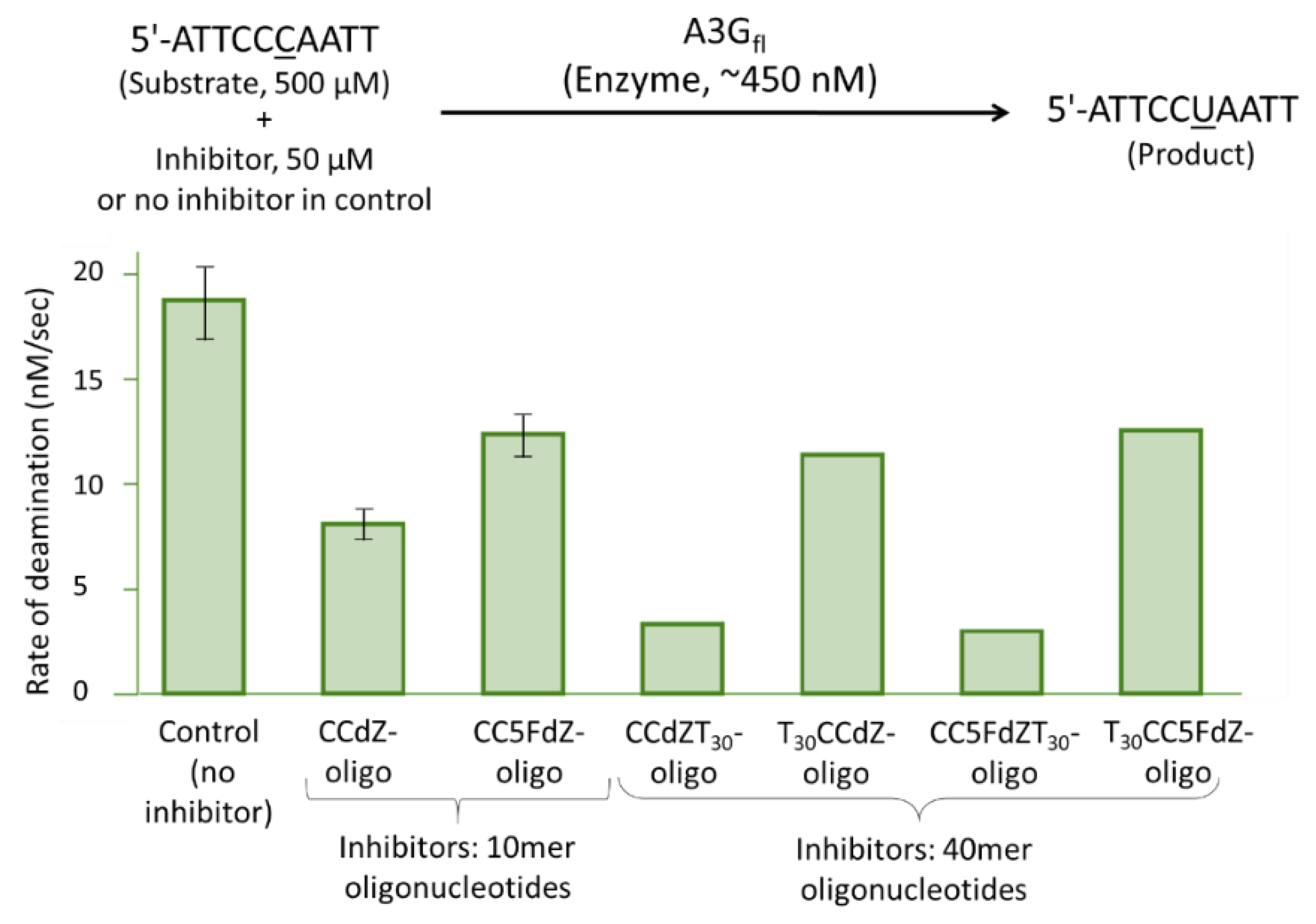 Viruses 14 01974 g002
