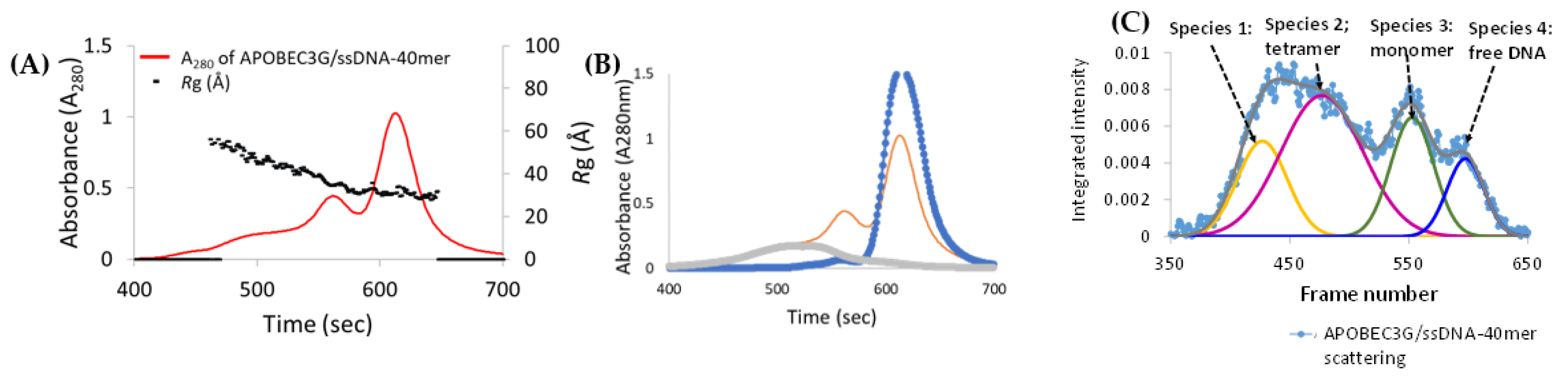 Viruses 14 01974 g004