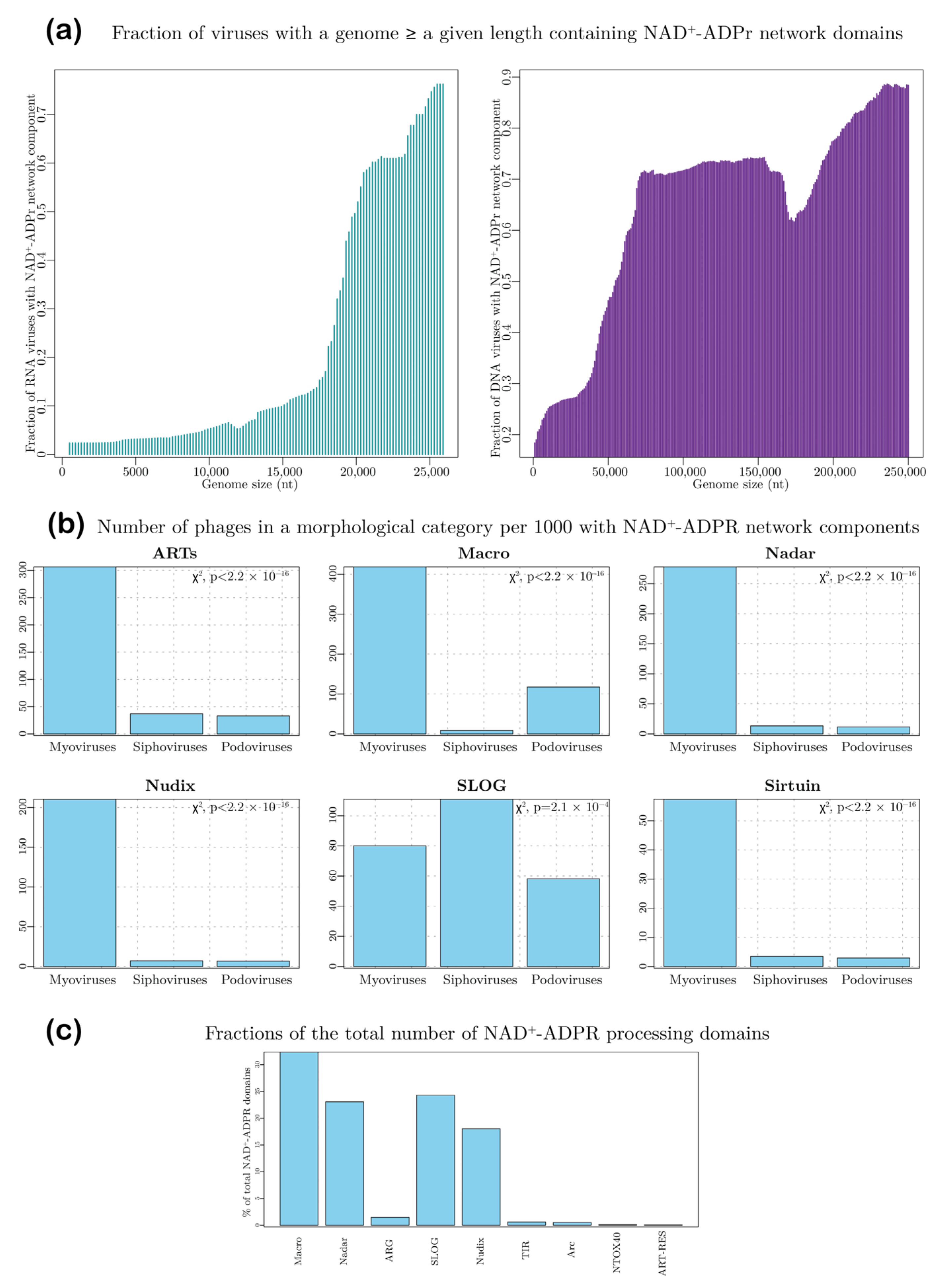 Viruses 14 01977 g002