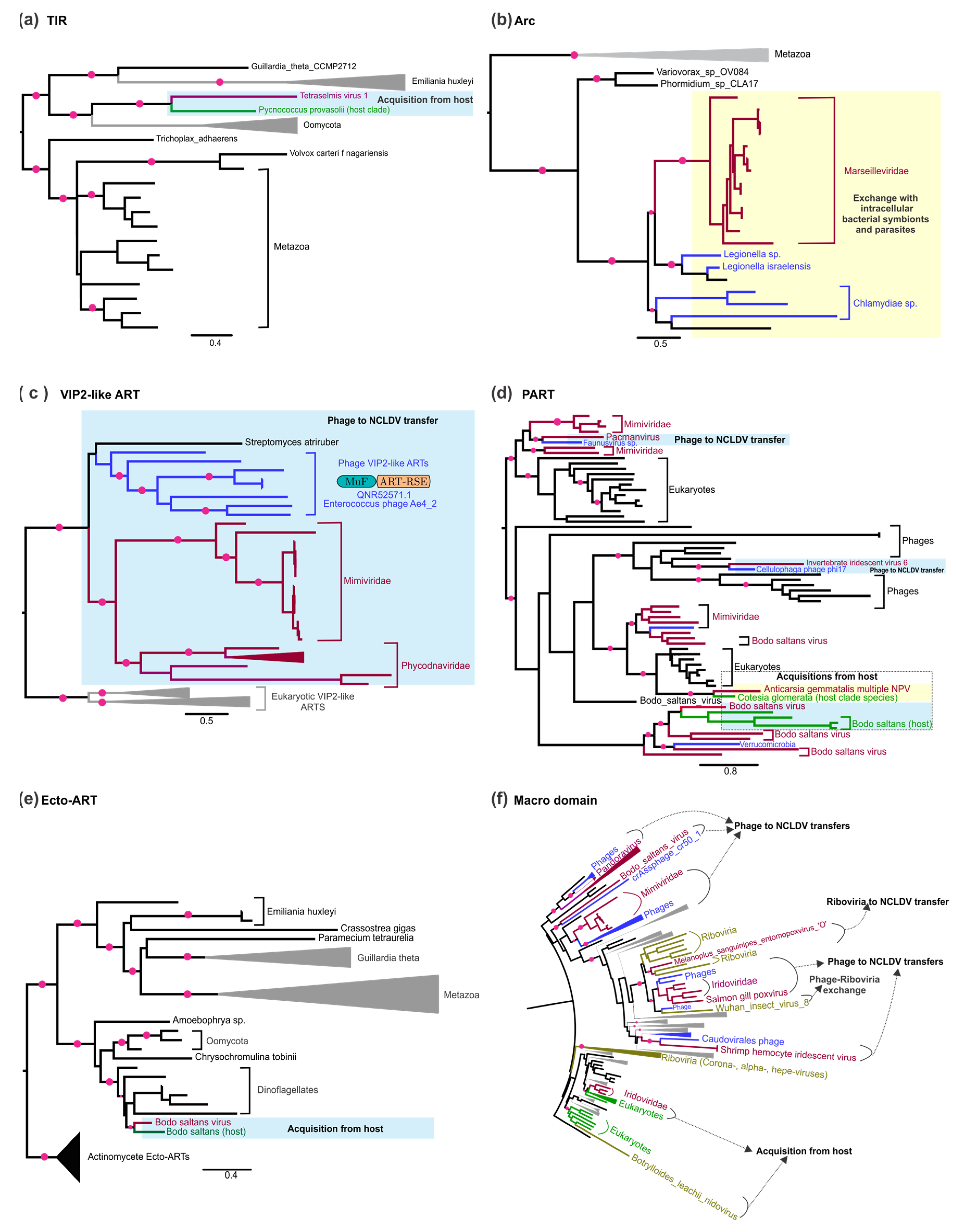Viruses 14 01977 g003