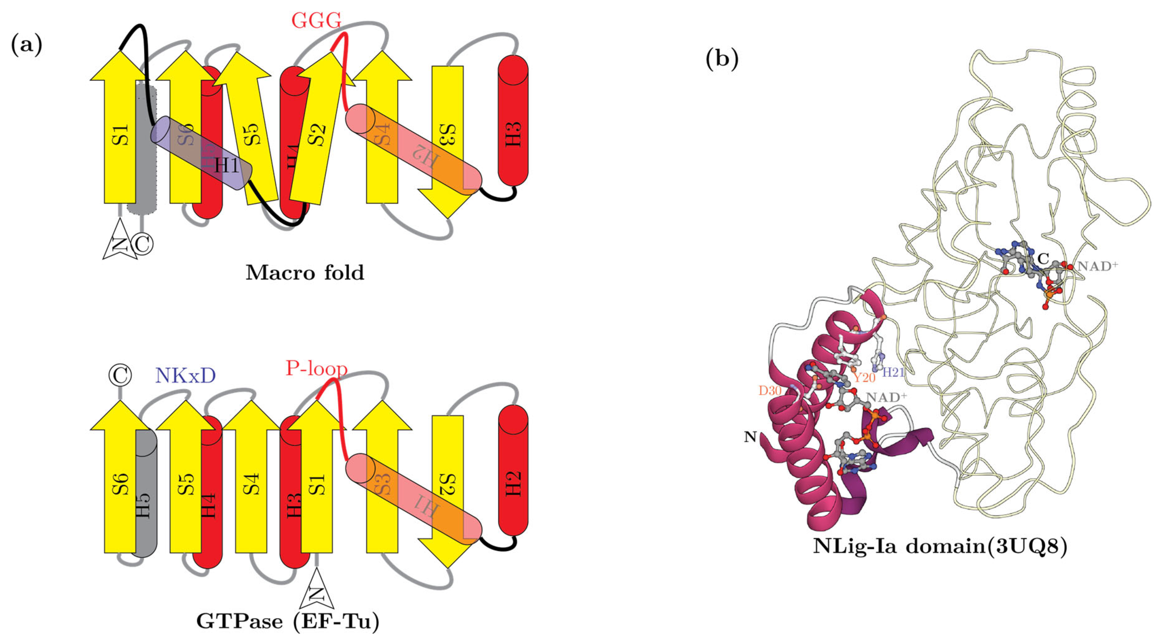 Viruses 14 01977 g004