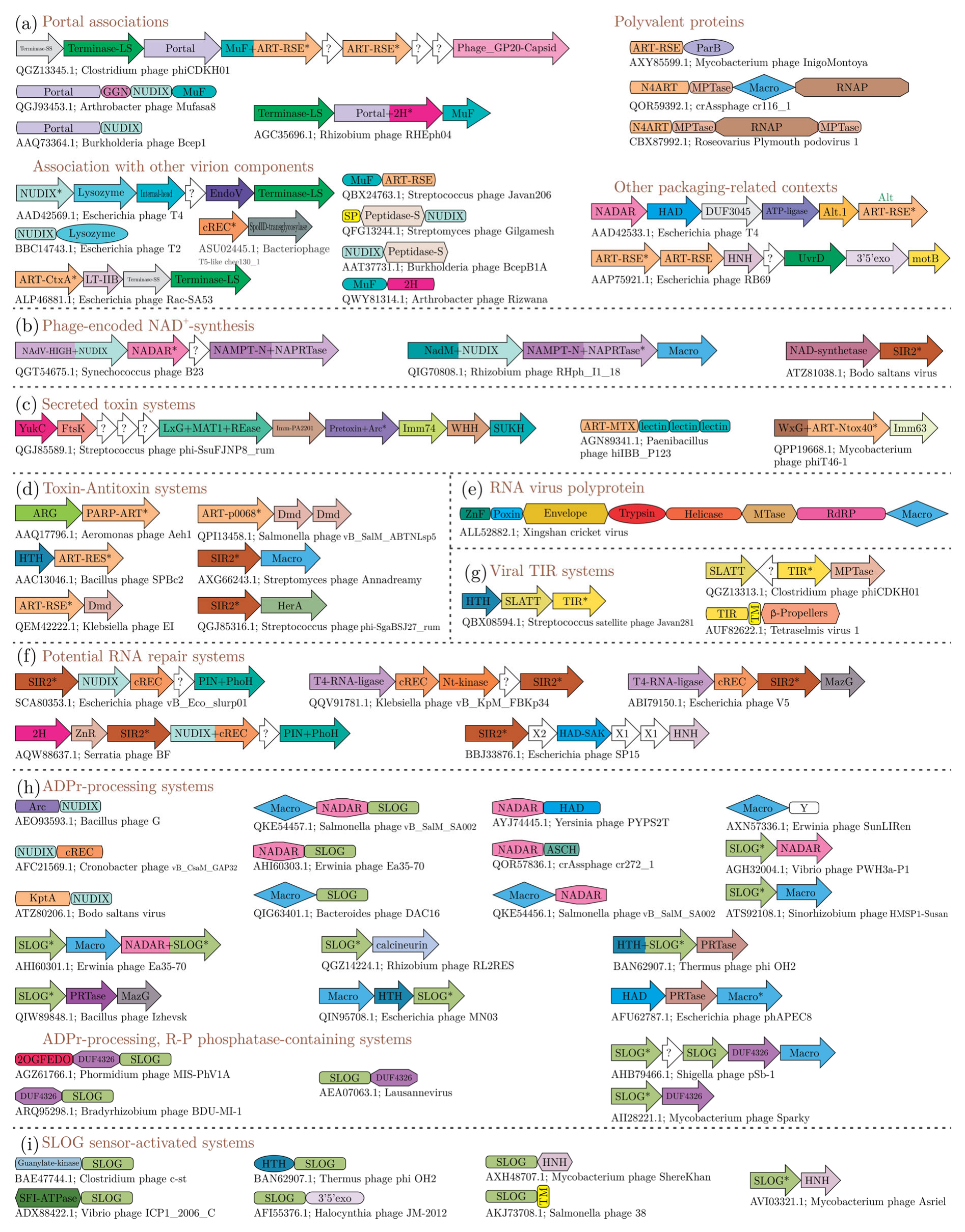 Viruses 14 01977 g005