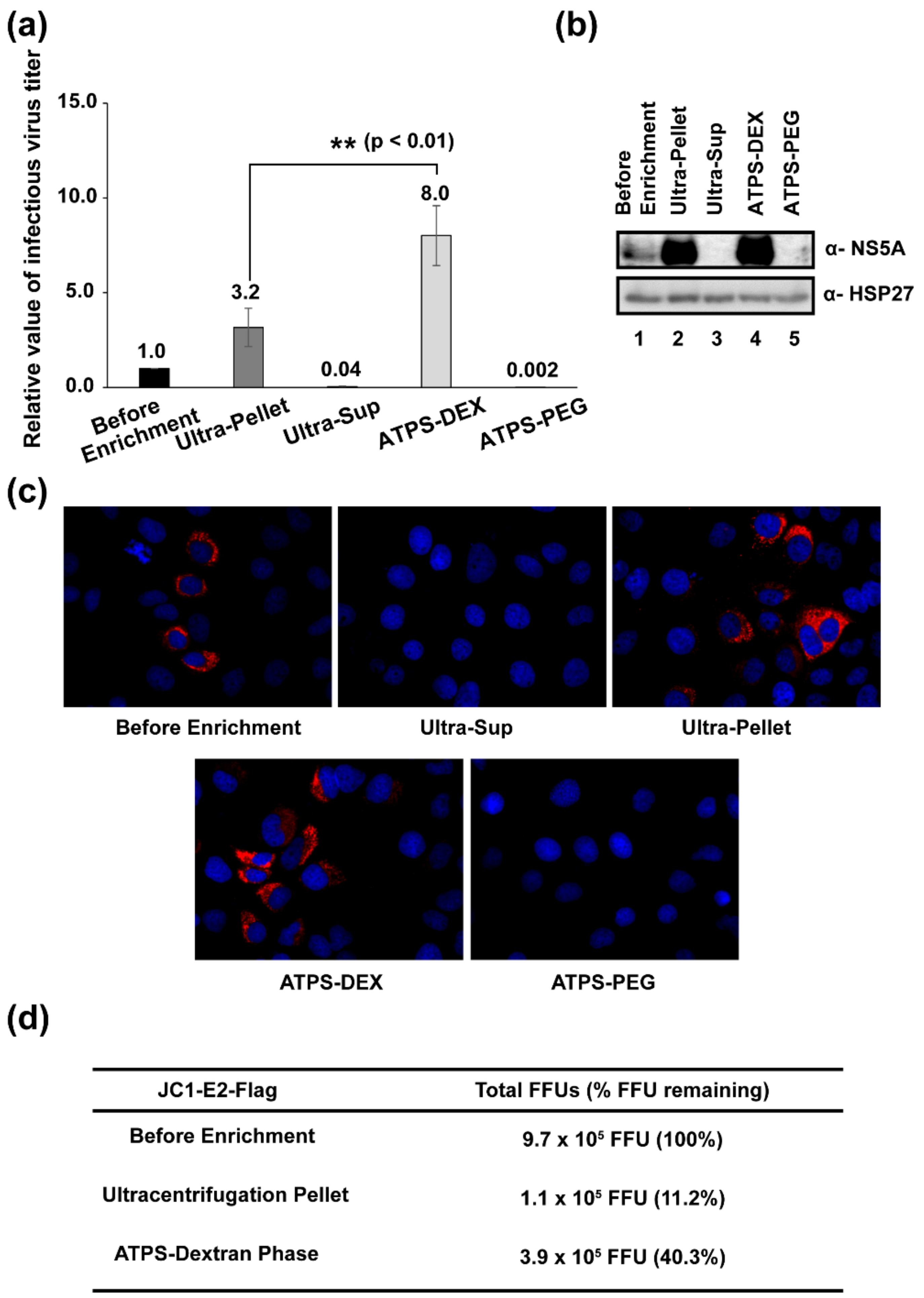 Viruses 14 01987 g004 Viruses 14 01987 g004