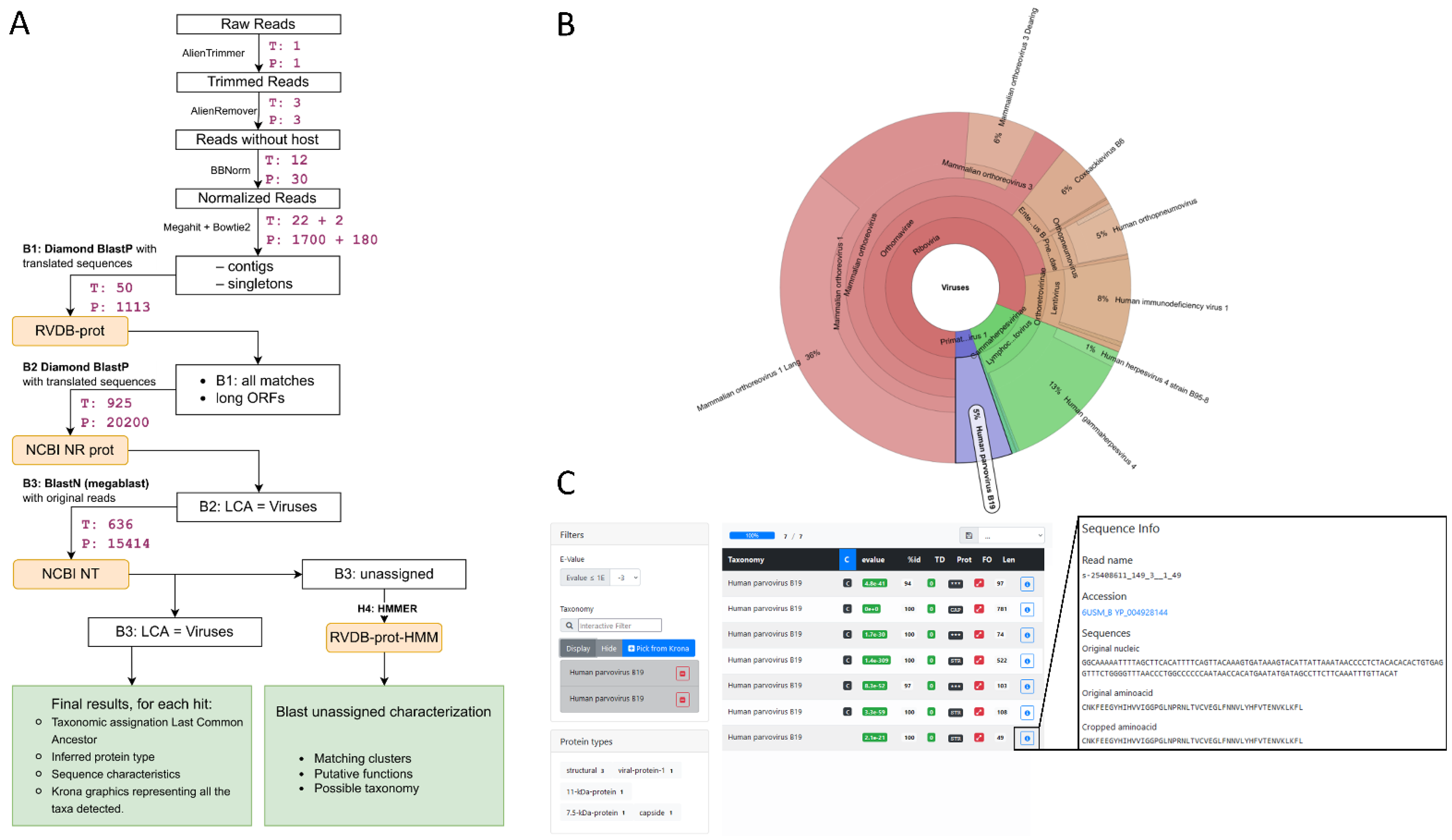 Viruses 14 01990 g001