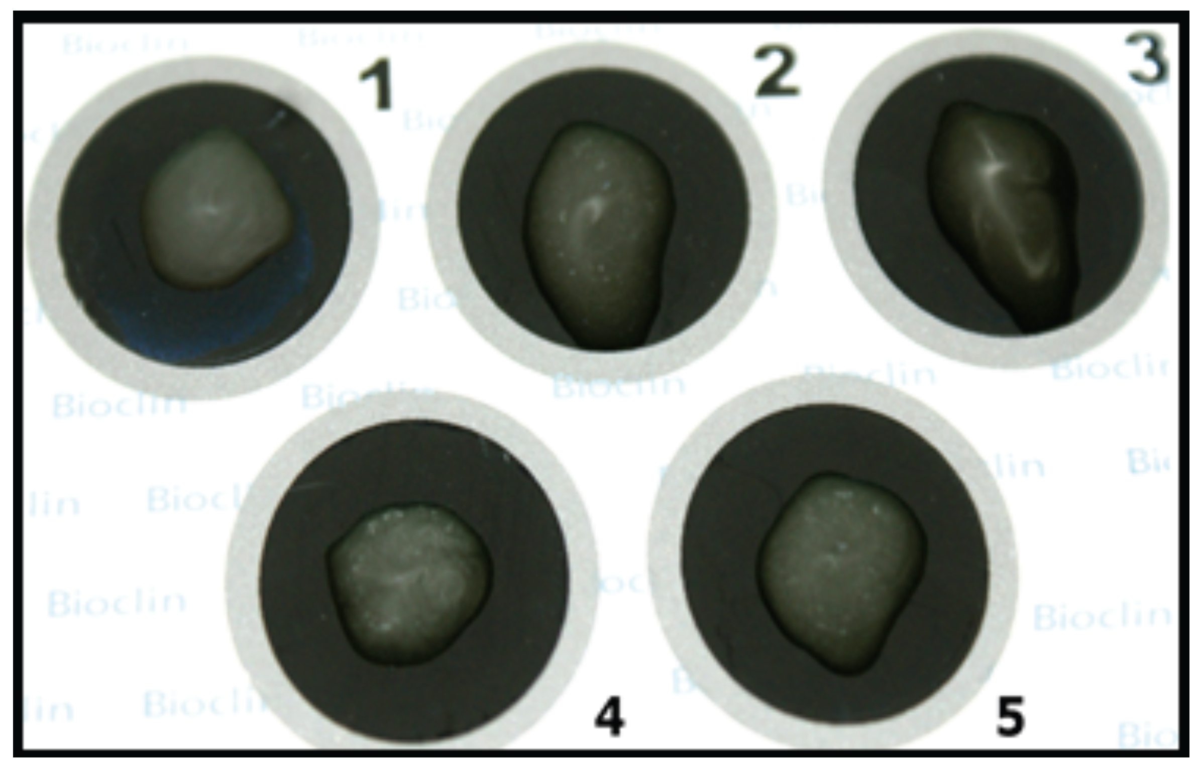 Viruses 14 01995 g003