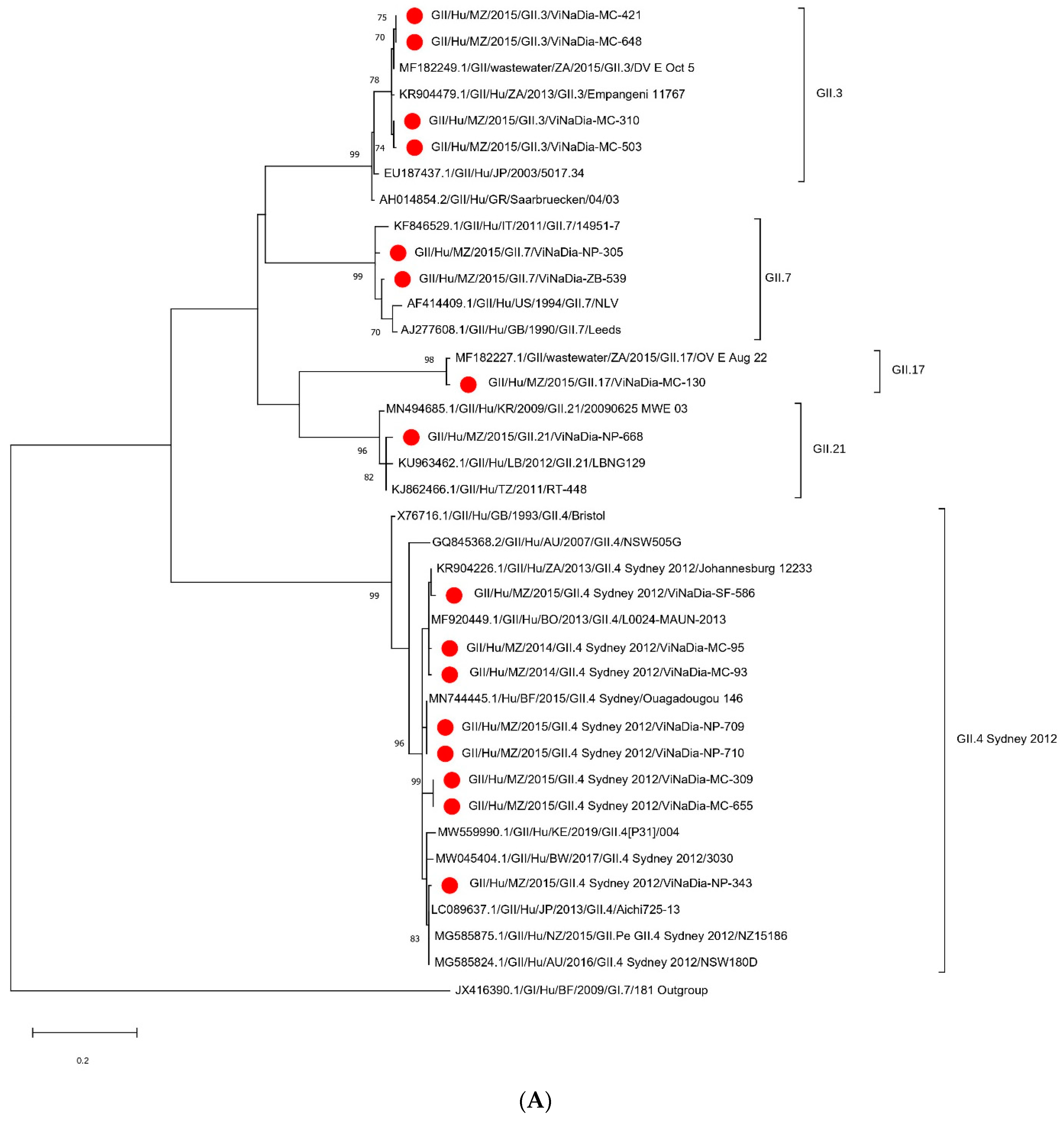 Viruses 14 02001 g002a
