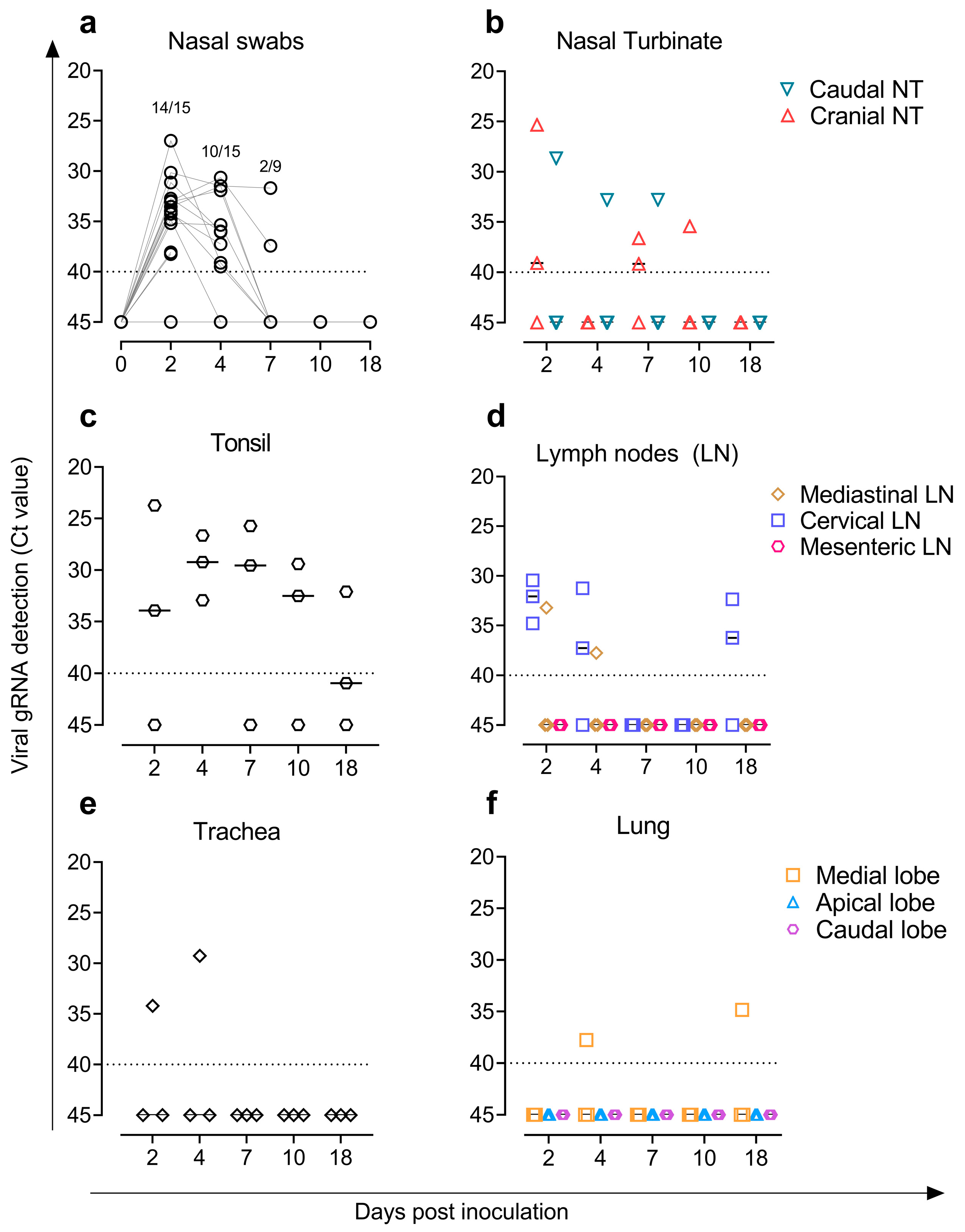 Viruses 14 02002 g003