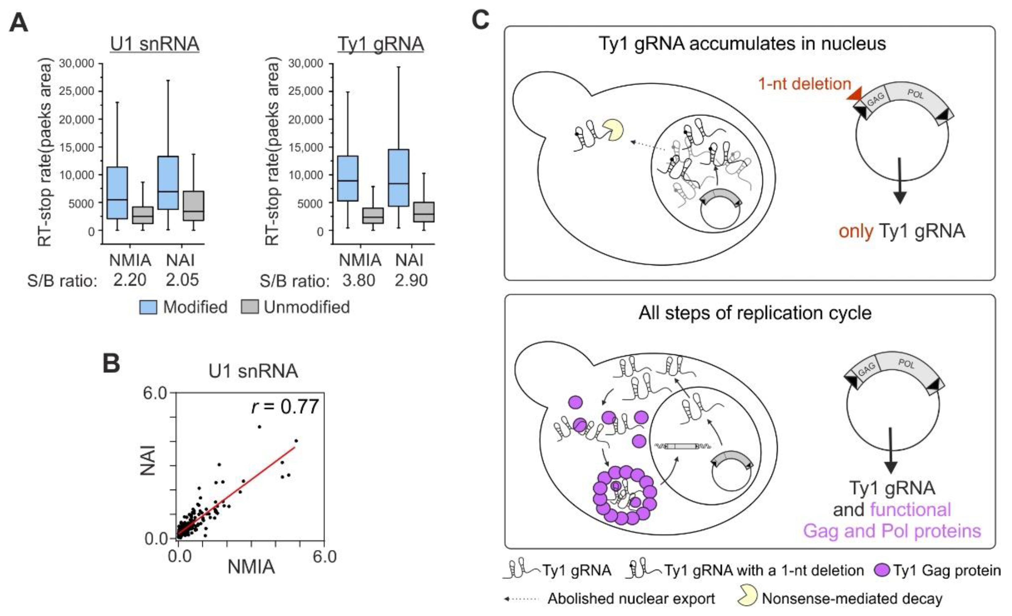 Viruses 14 02007 g001