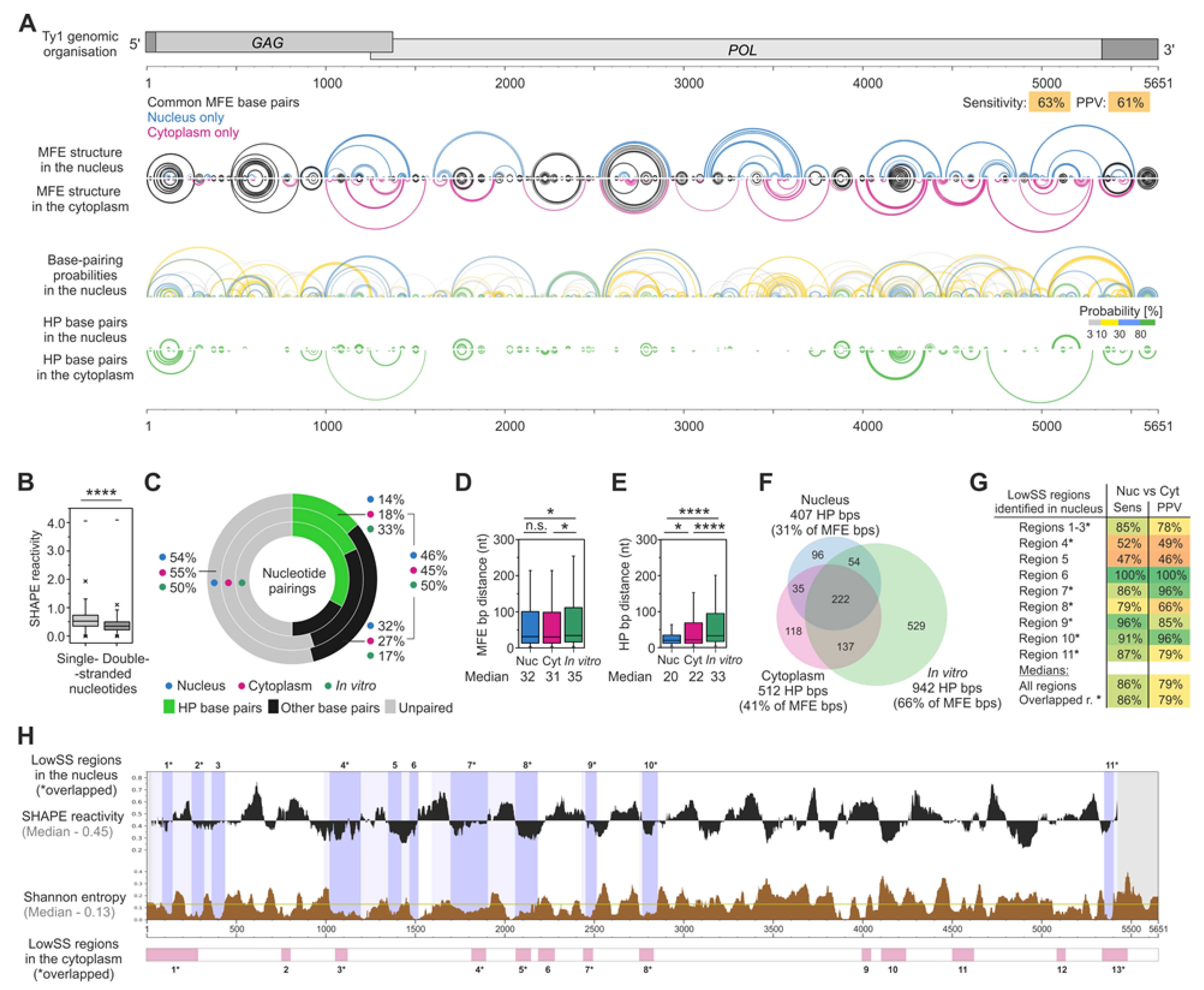 Viruses 14 02007 g003