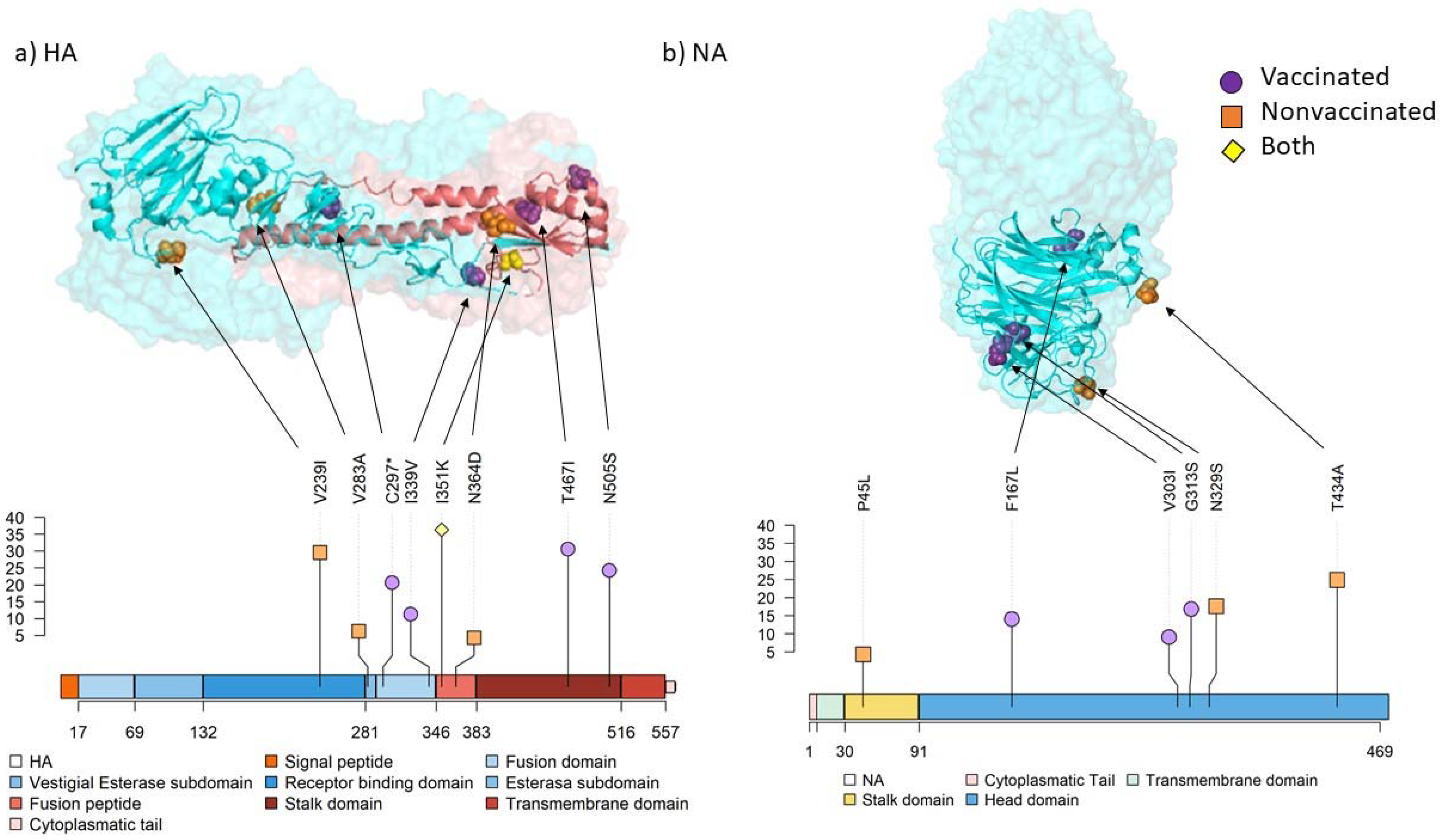 Viruses 14 02008 g009 Viruses 14 02008 g009