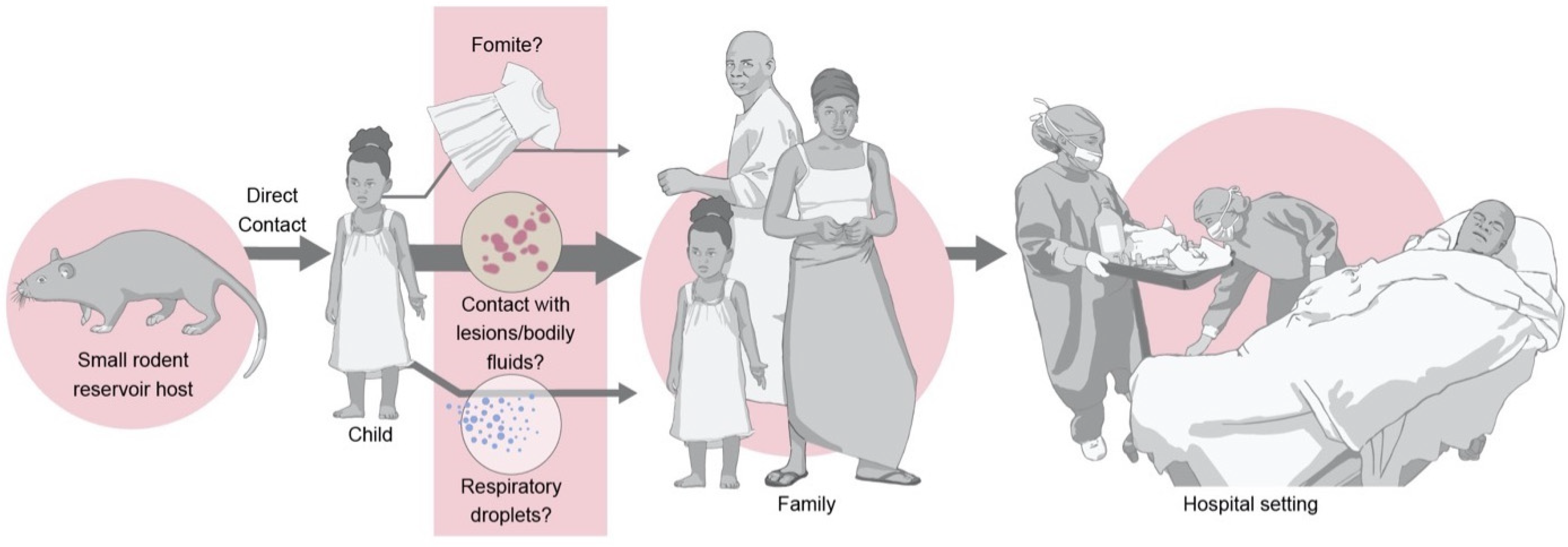 Viruses 14 02012 g002 Viruses 14 02012 g002