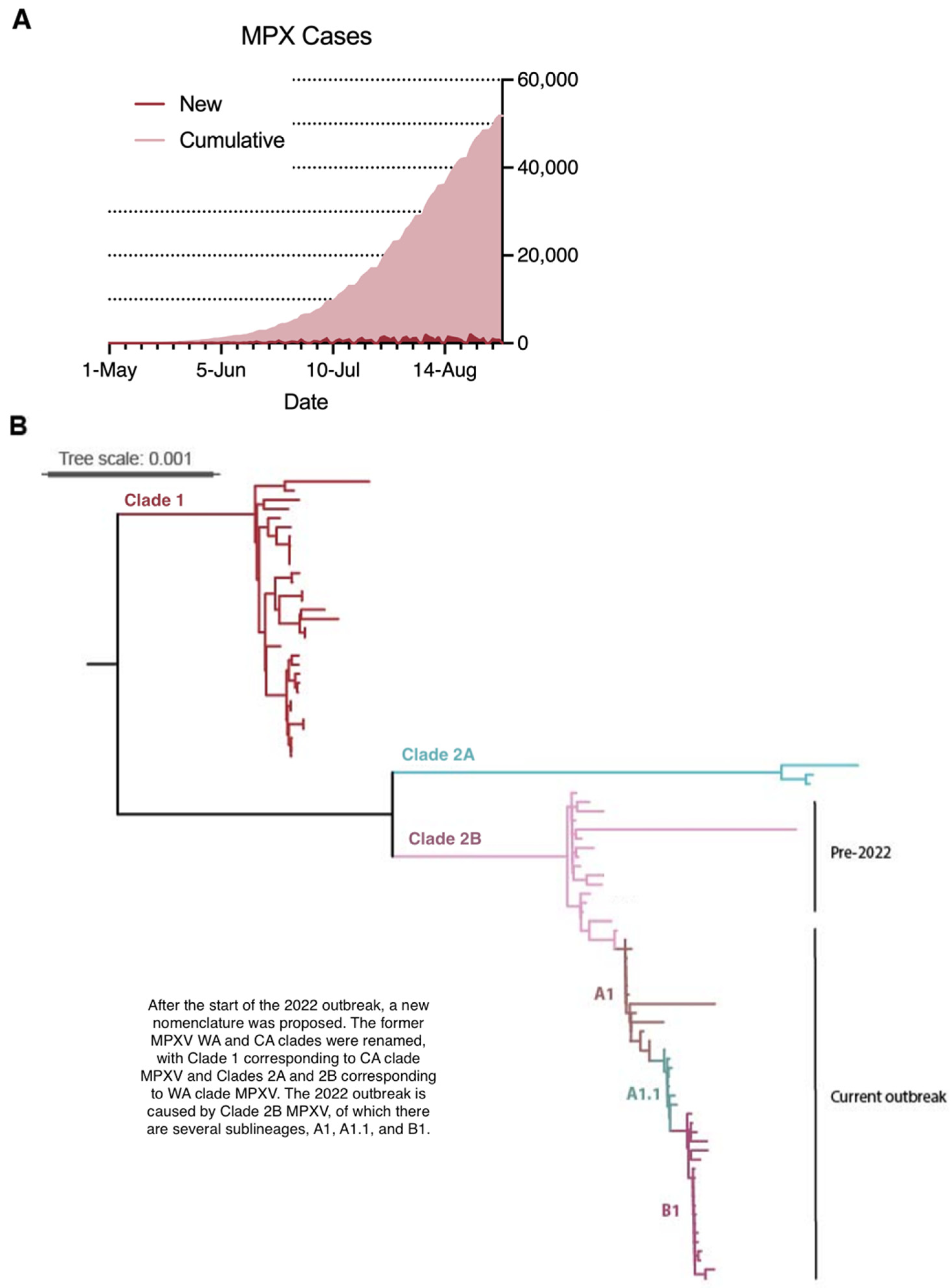 Viruses 14 02012 g004 Viruses 14 02012 g004