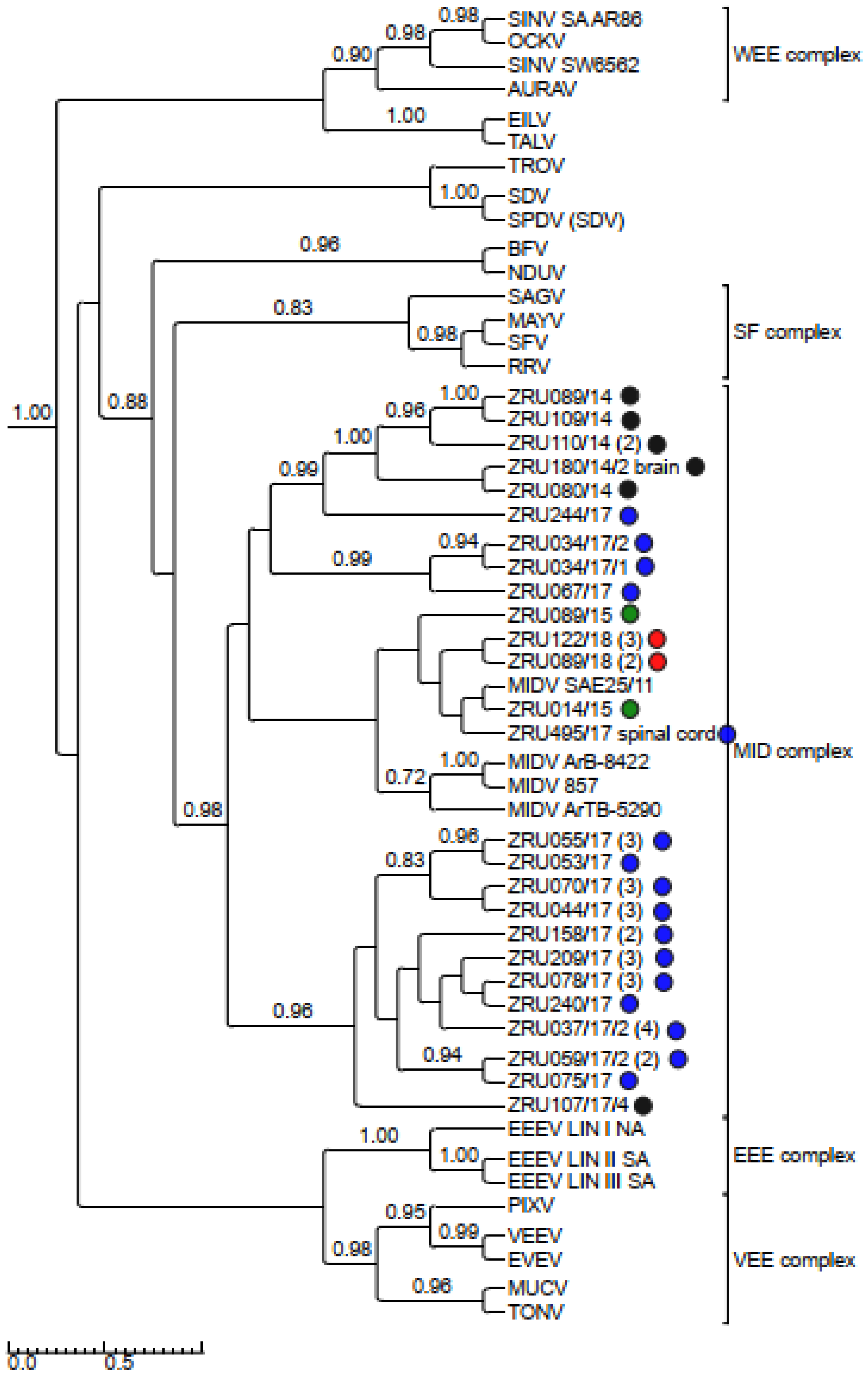 Viruses | Free Full-Text | Epidemiological and Genomic Characterisation of  Middelburg and Sindbis Alphaviruses Identified in Horses with Febrile and  Neurological Infections, South Africa (2014–2018)