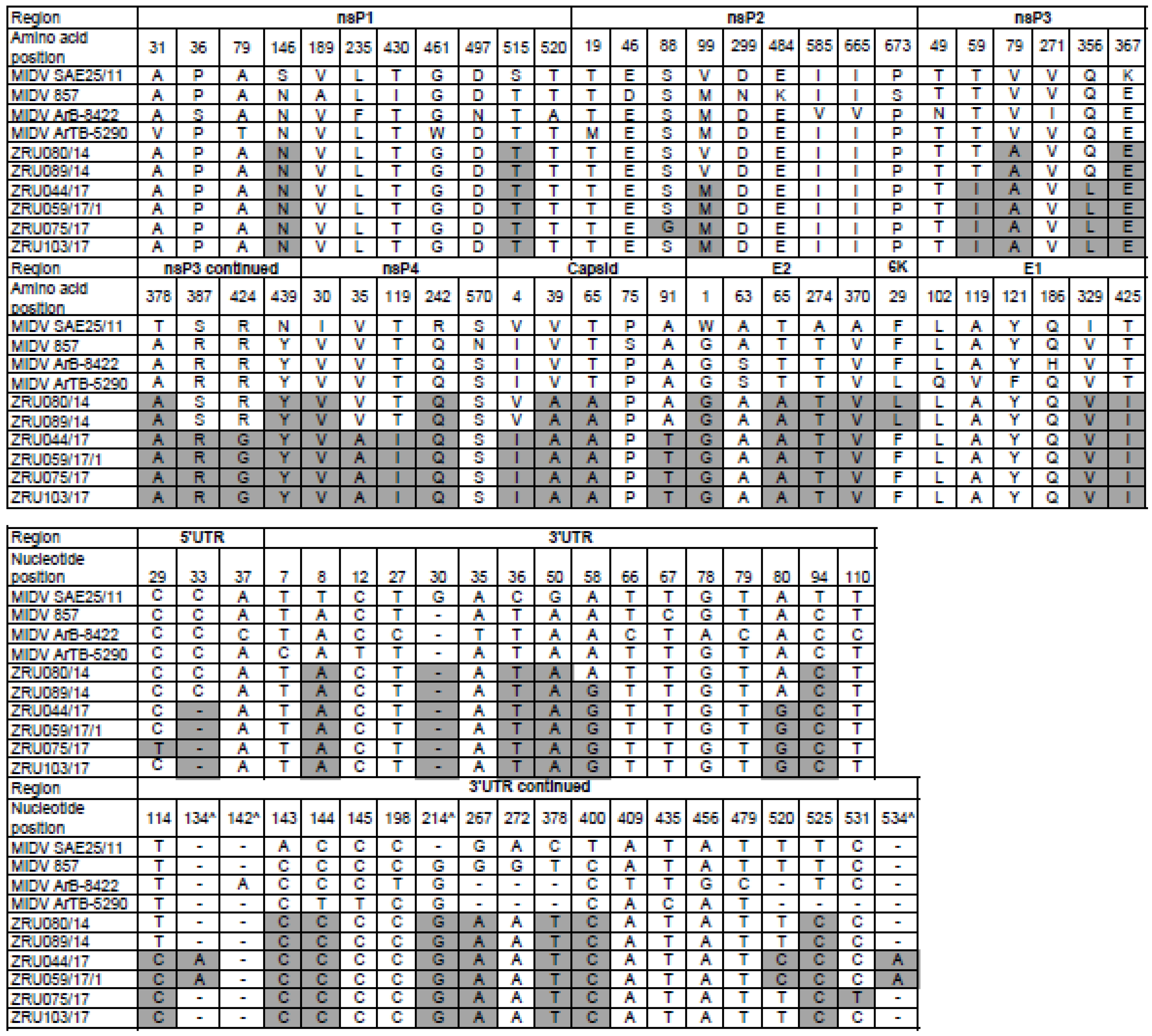 Viruses | Free Full-Text | Epidemiological and Genomic Characterisation of  Middelburg and Sindbis Alphaviruses Identified in Horses with Febrile and  Neurological Infections, South Africa (2014–2018)