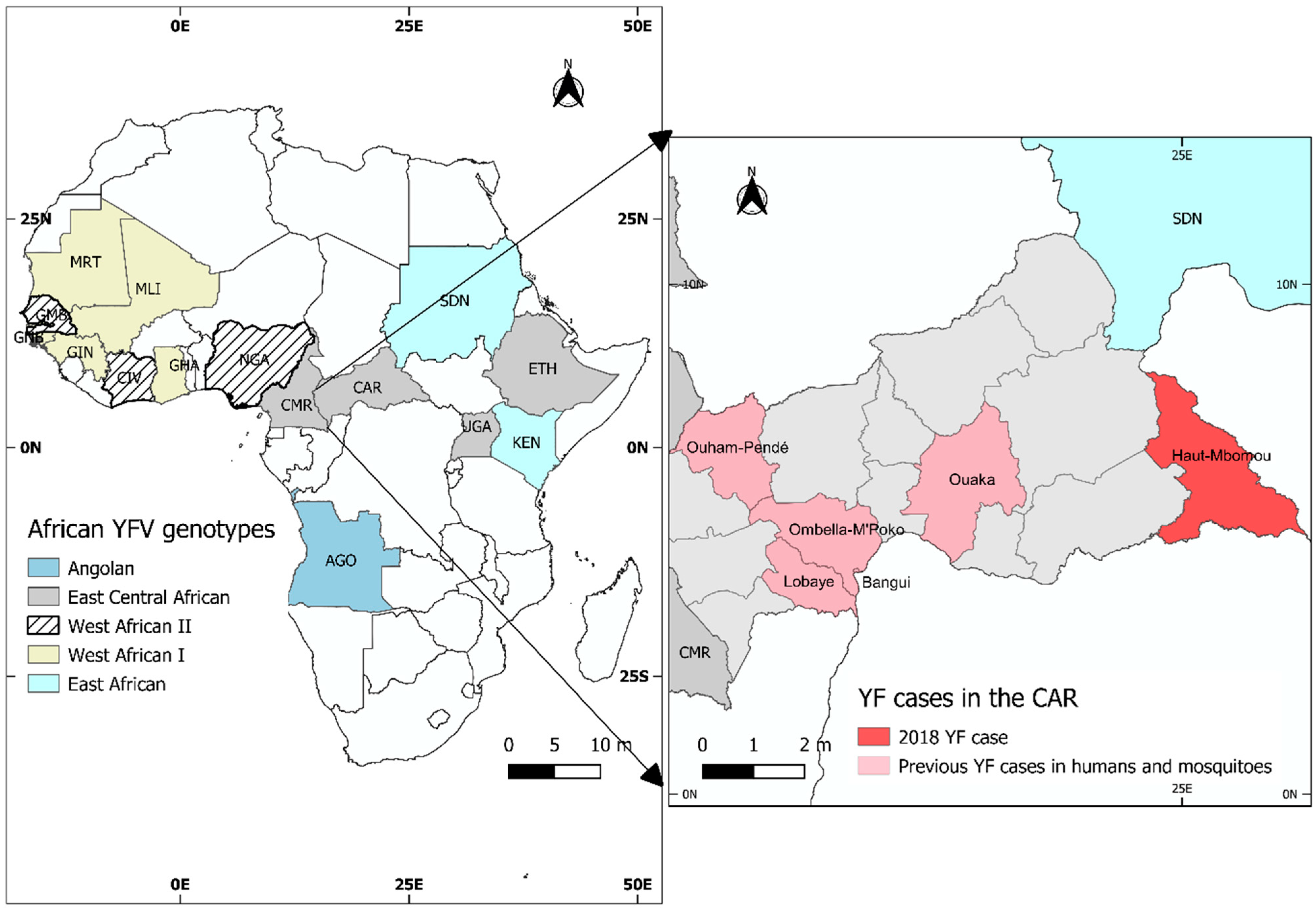 Viruses 14 02014 g001