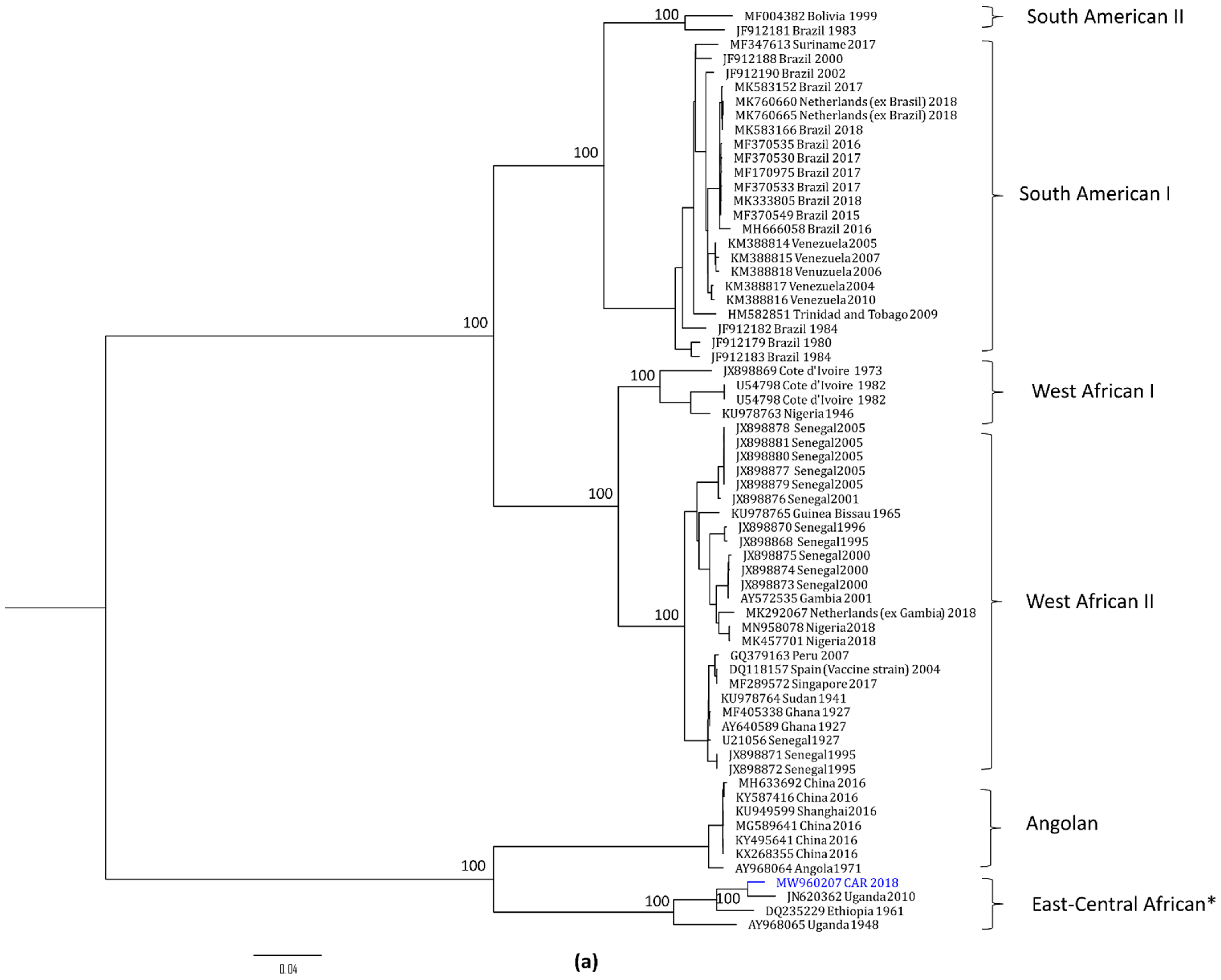 Viruses | Free Full-Text | Continuous Circulation of Yellow Fever among ...