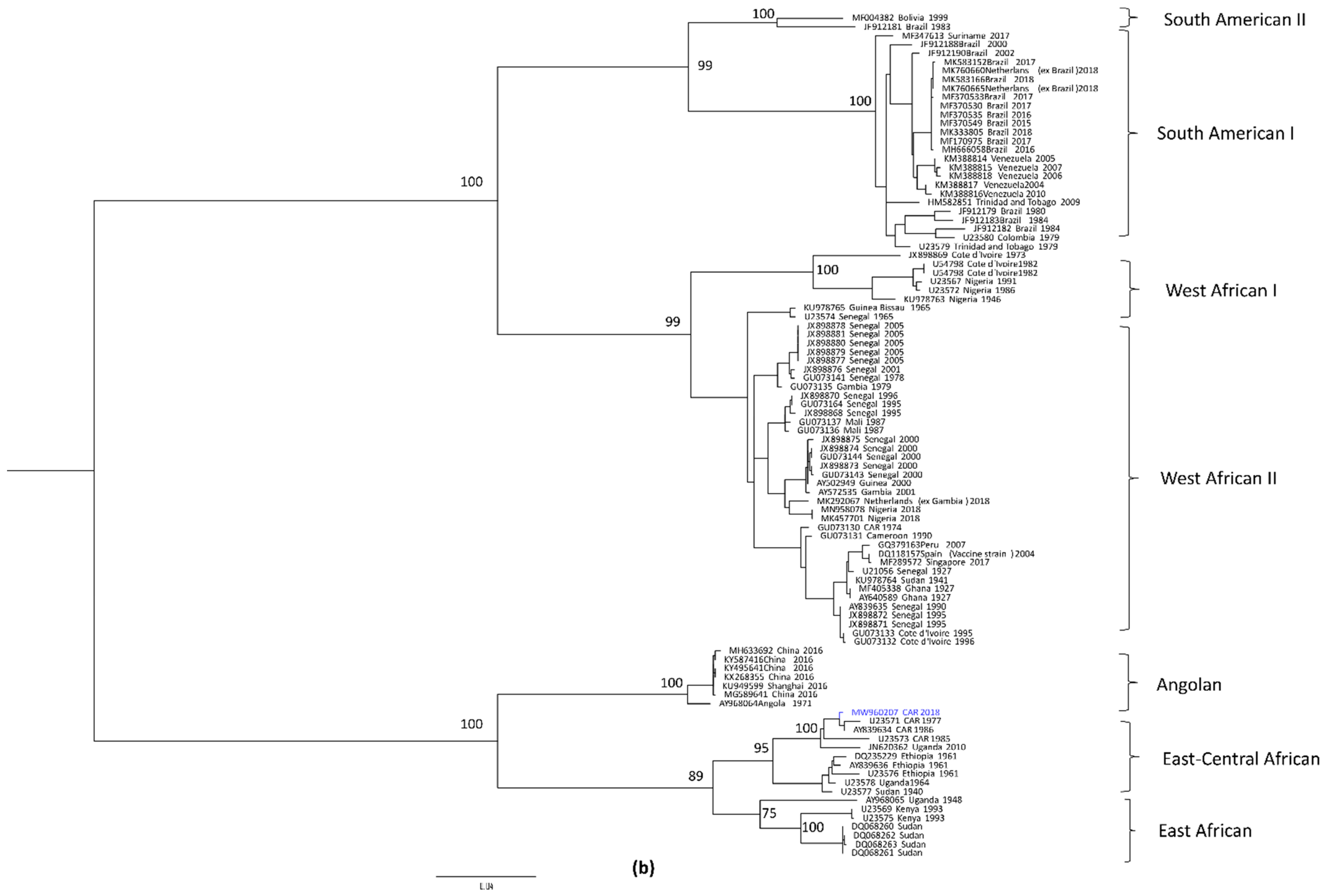 Viruses 14 02014 g003b