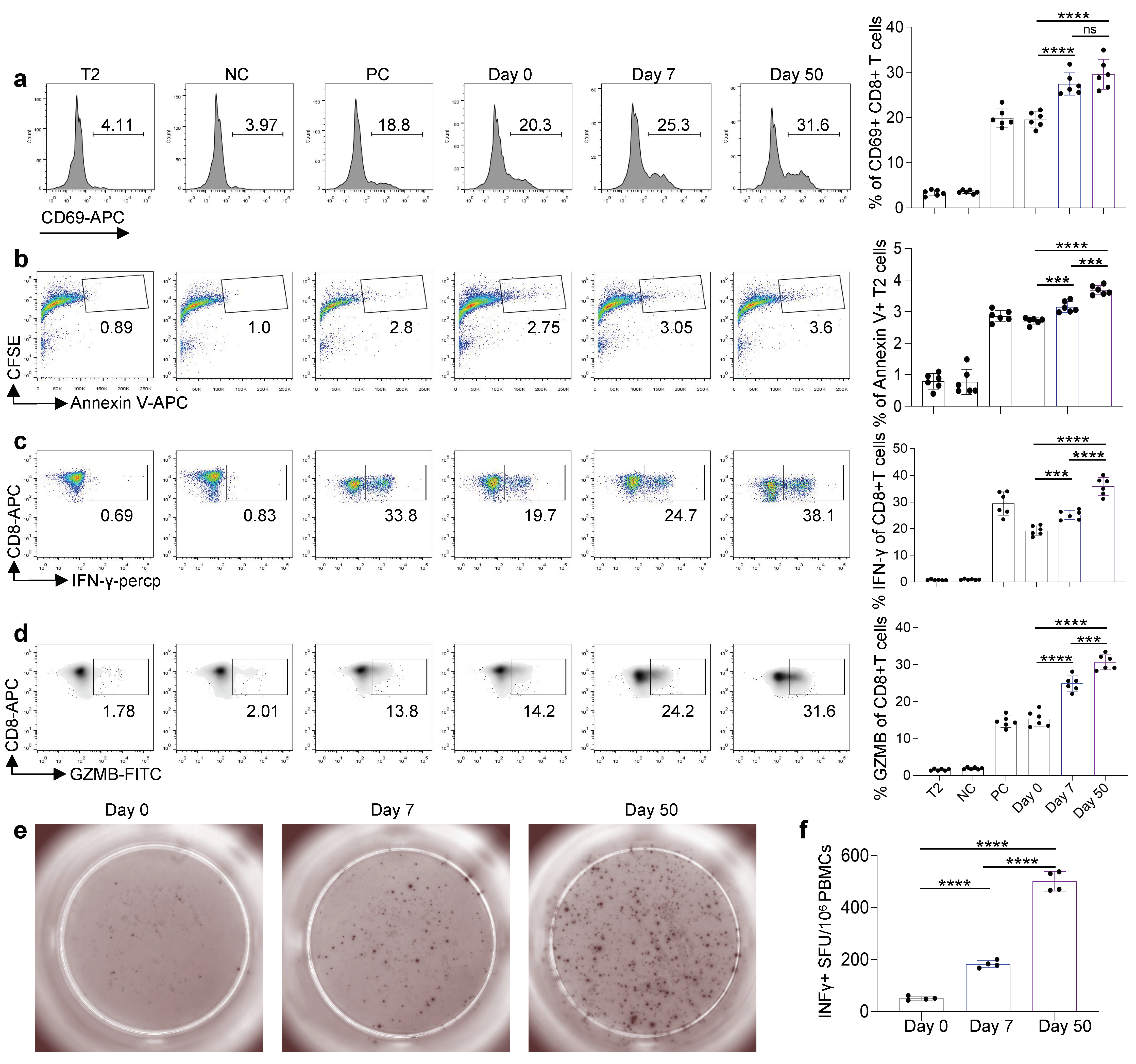 Viruses 14 02016 g004