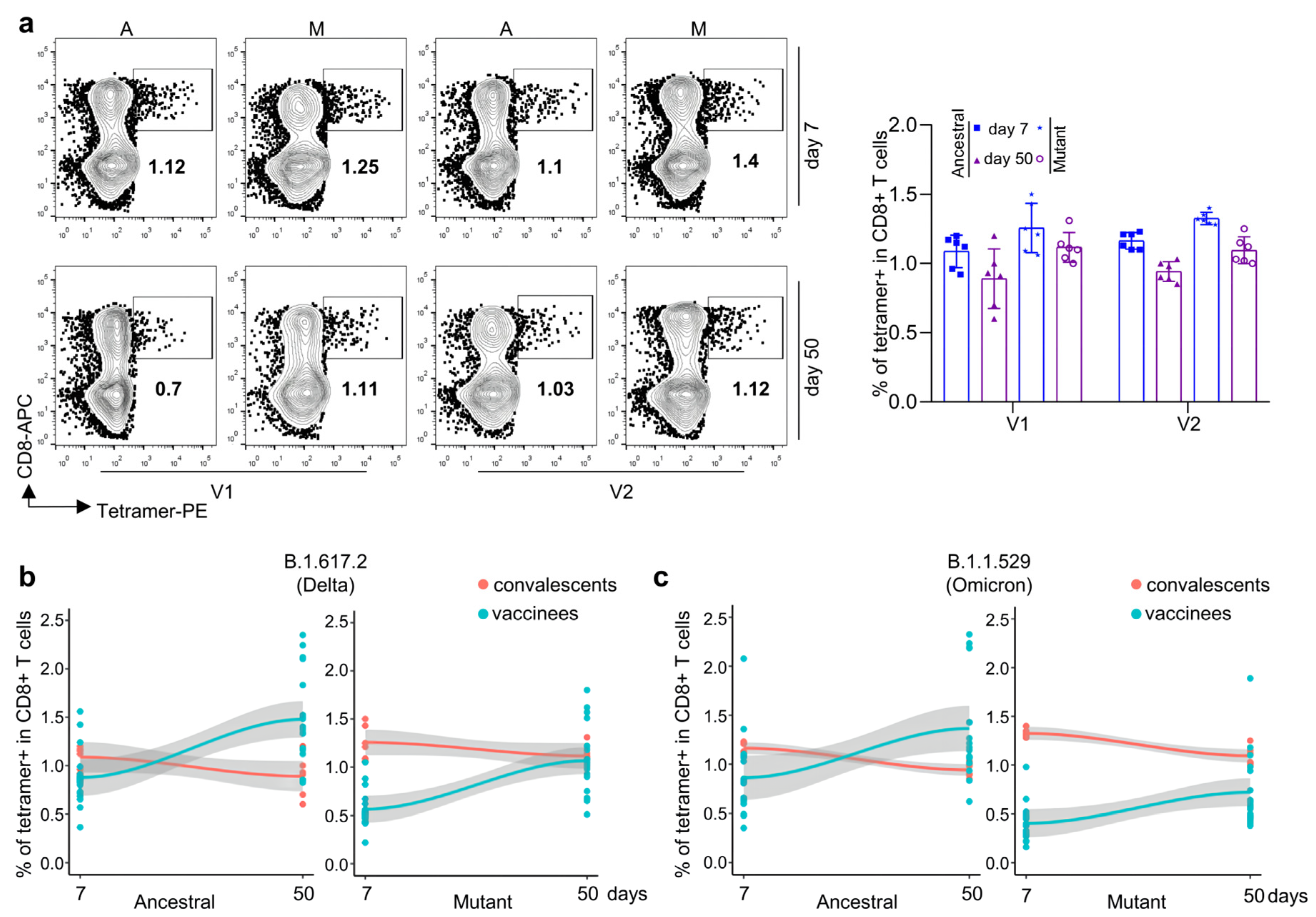Viruses 14 02016 g005