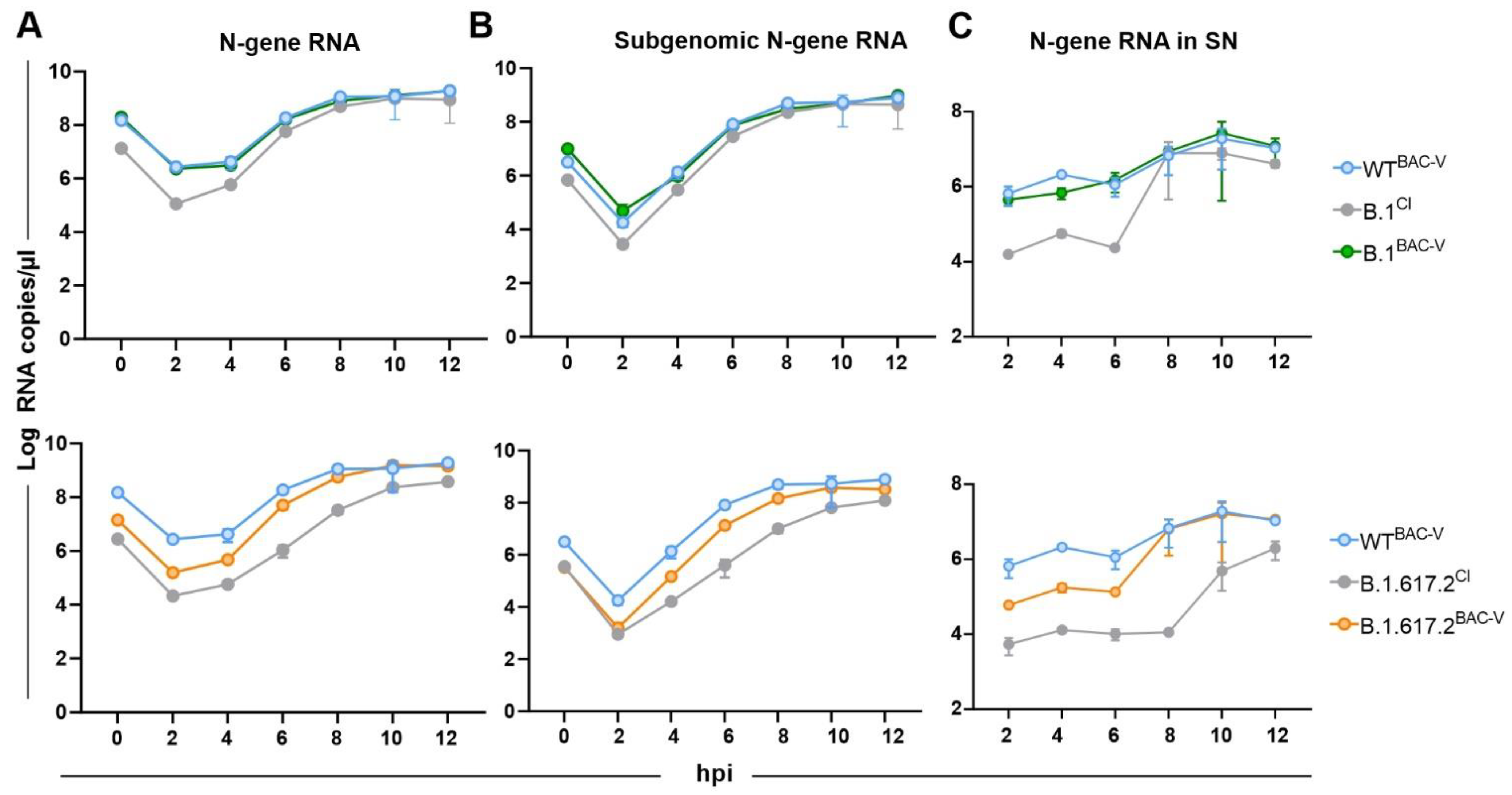 Viruses 14 02017 g003