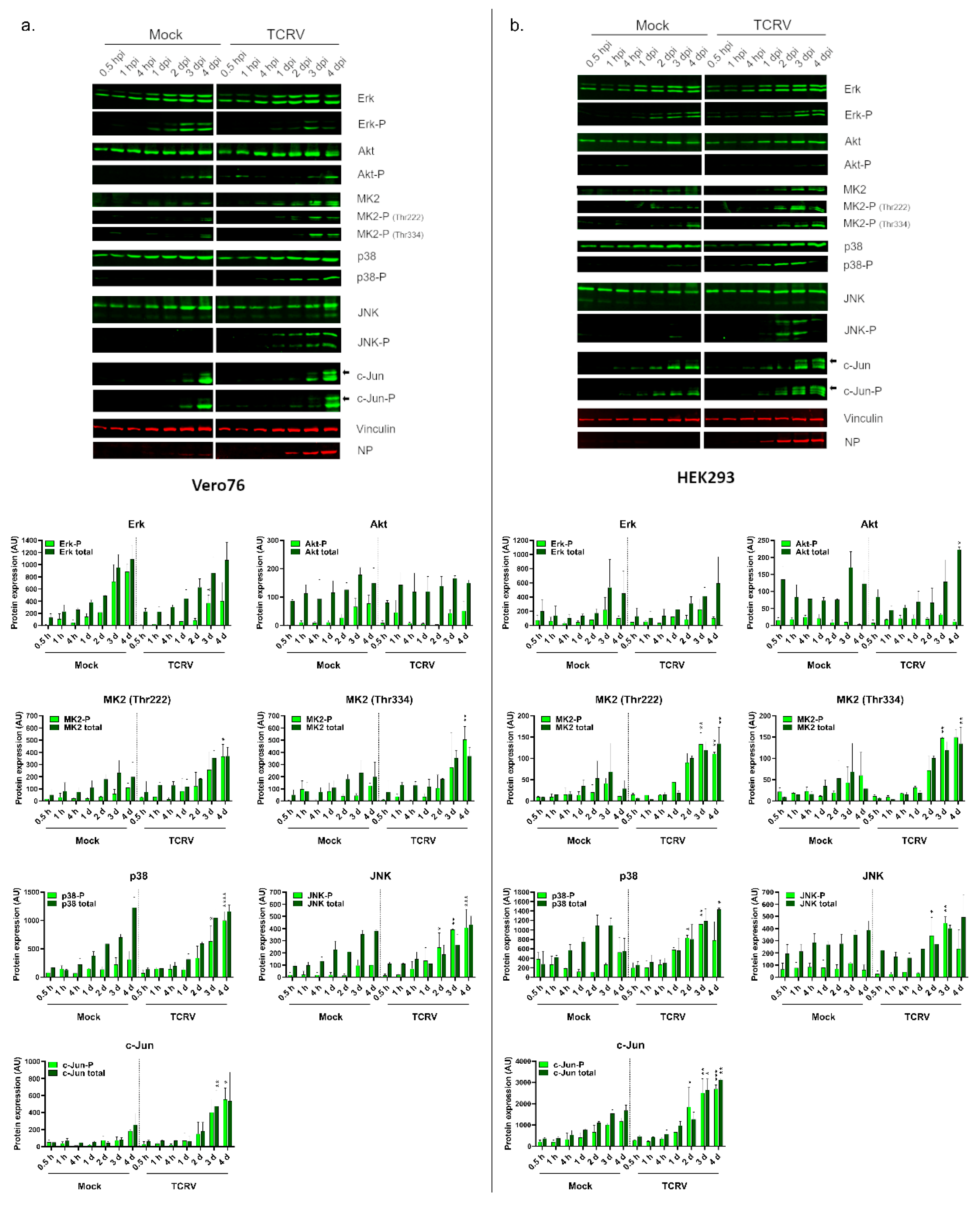 Viruses 14 02018 g002