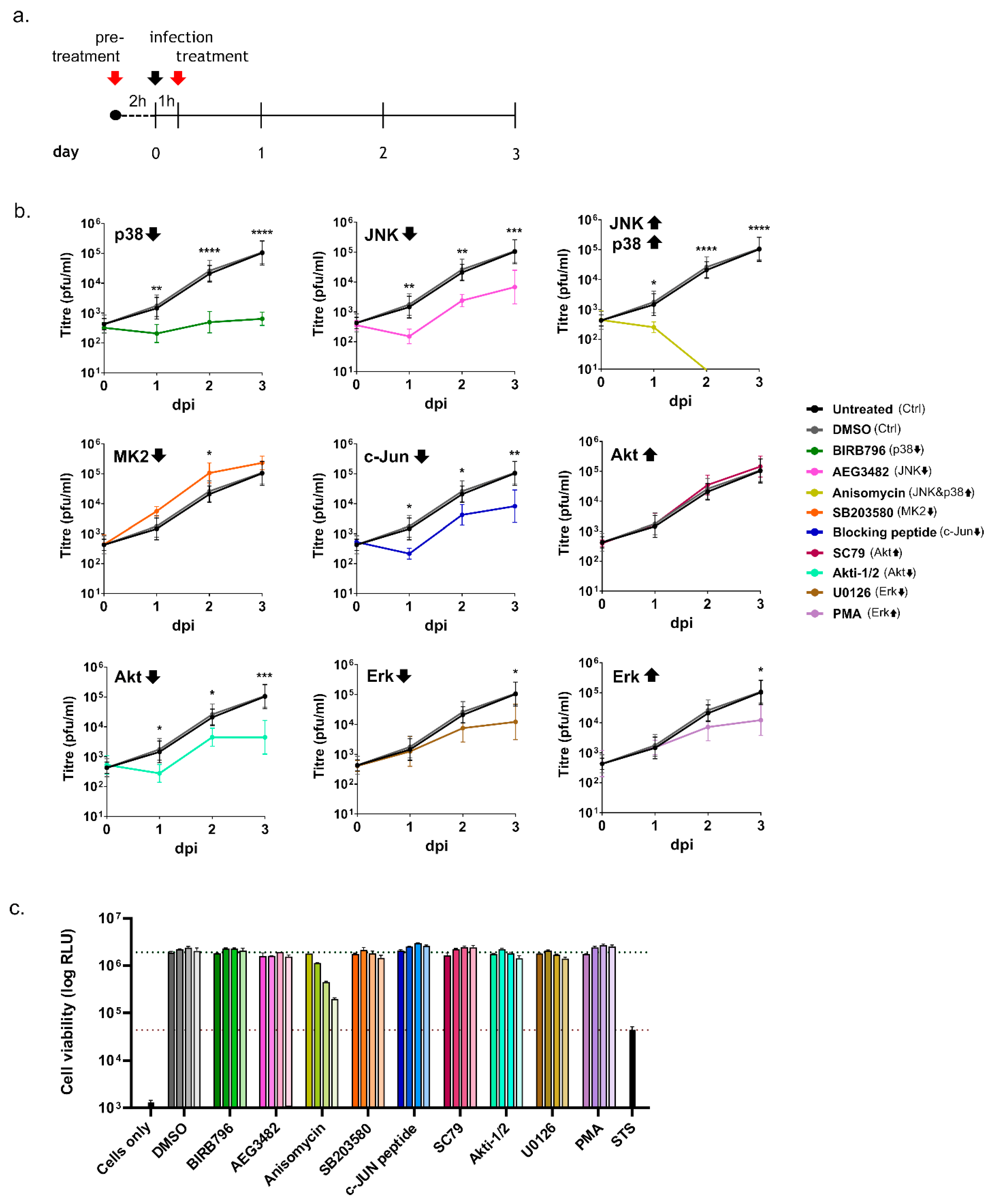 Viruses 14 02018 g003