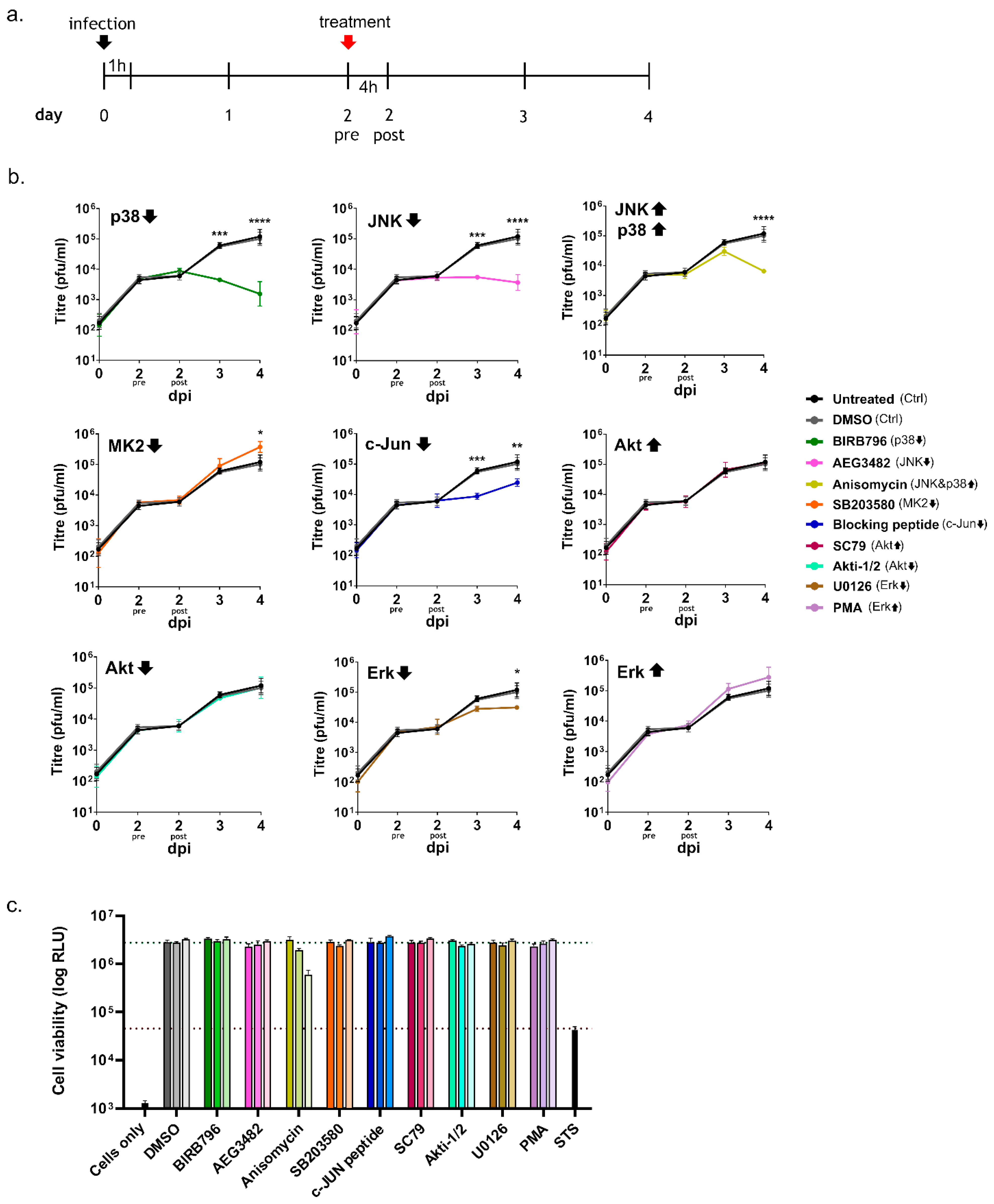Viruses 14 02018 g004