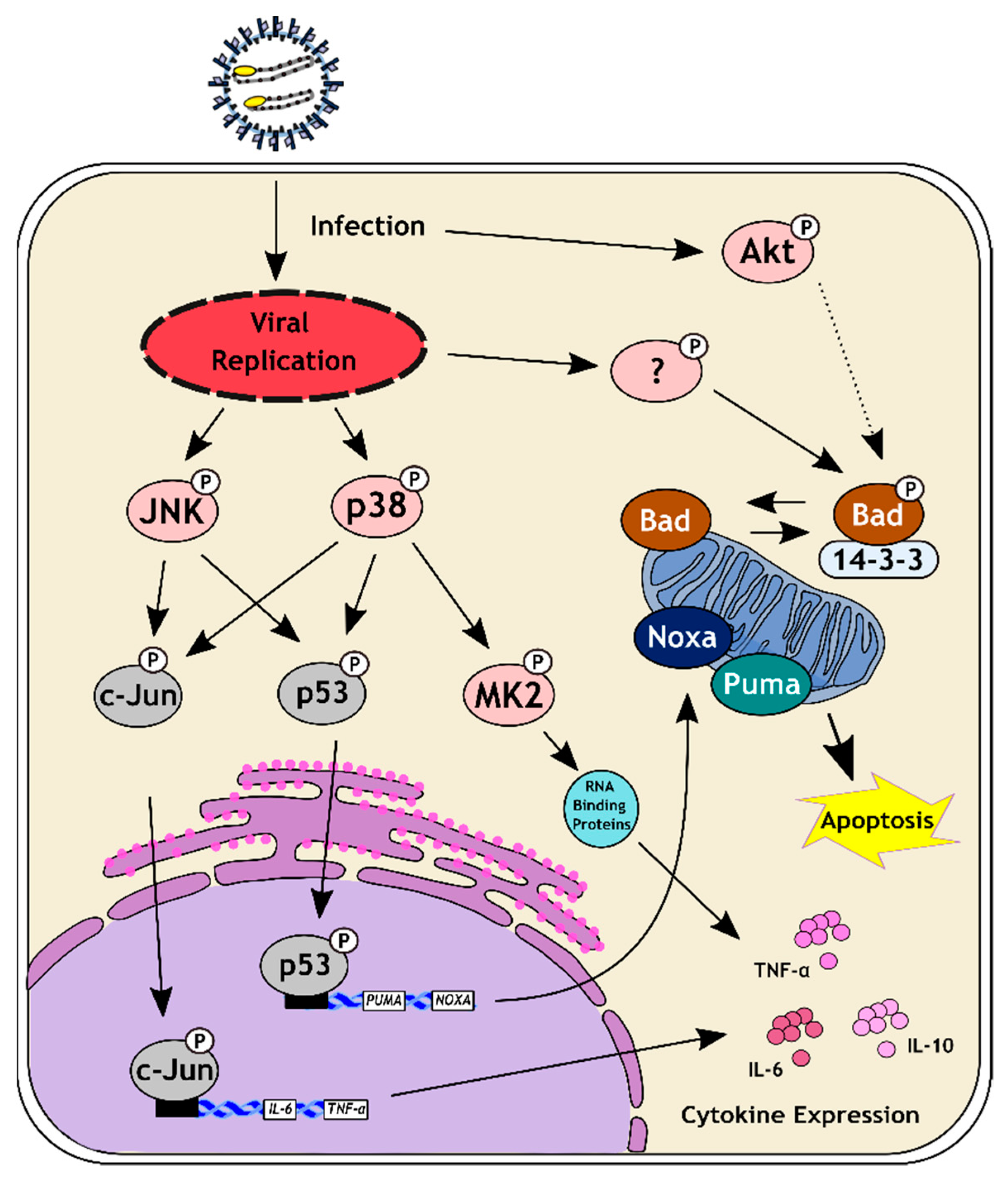Viruses 14 02018 g005