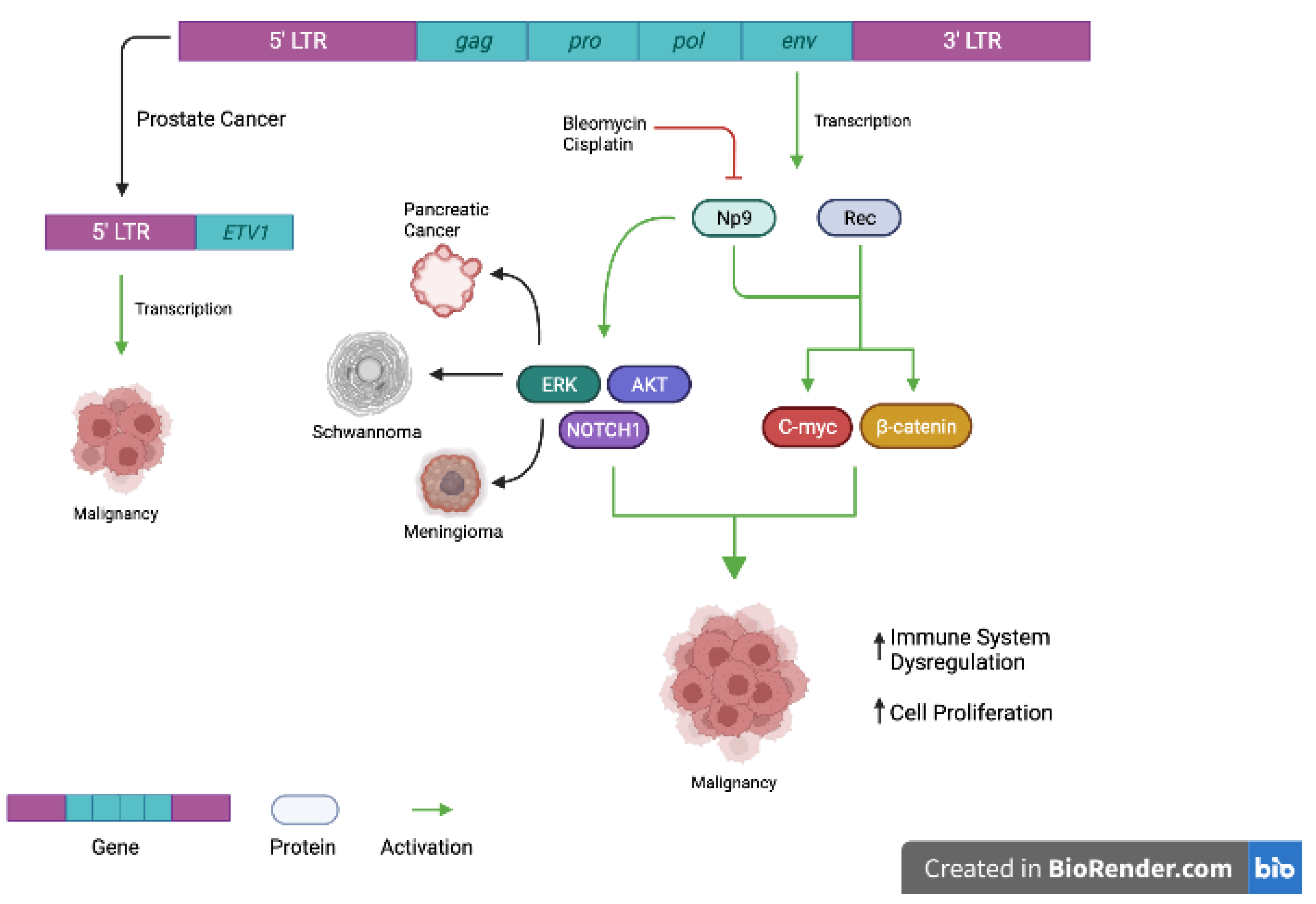Viruses 14 02019 g001 Viruses 14 02019 g001