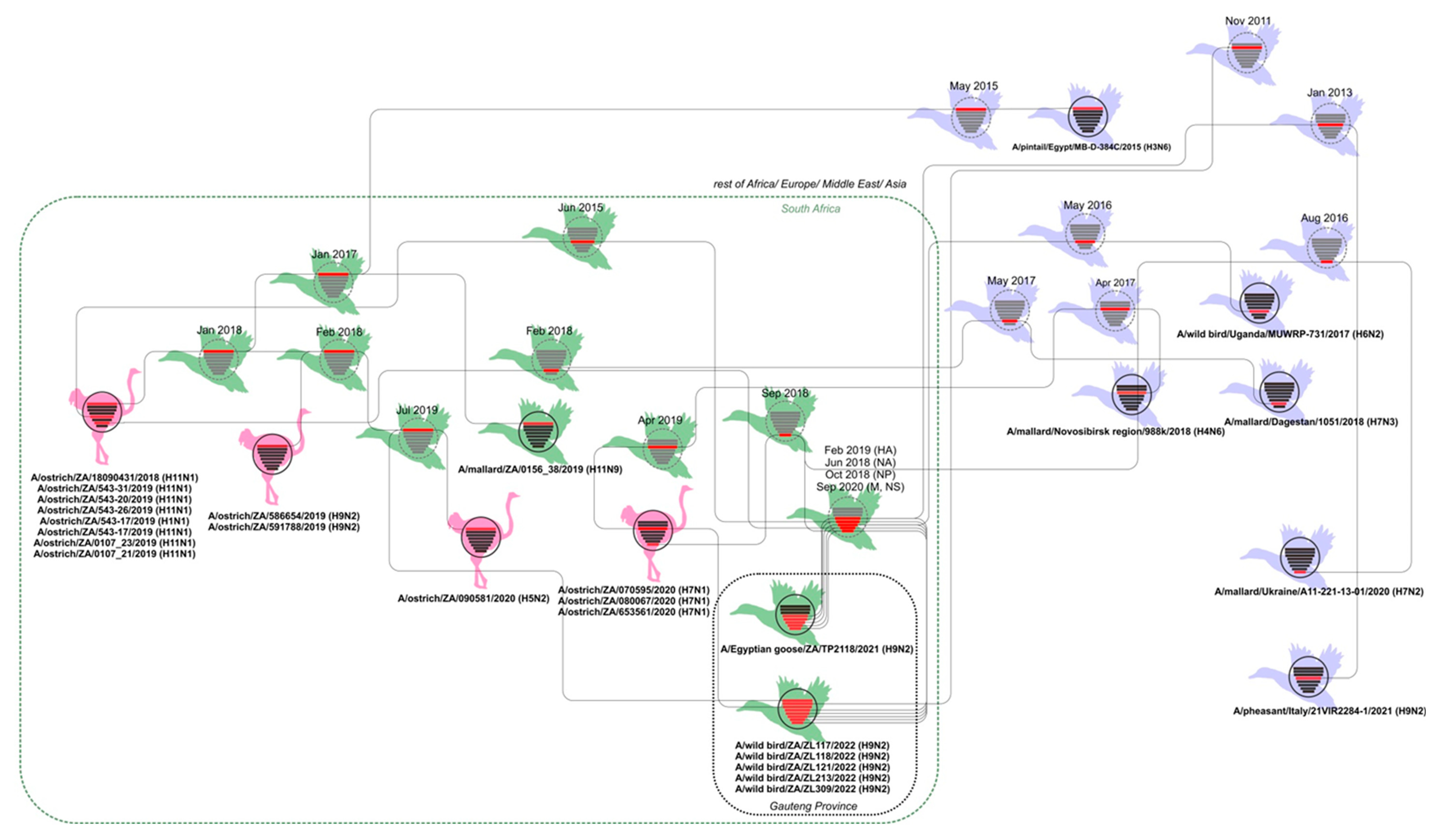 Viruses 14 02027 g003 550