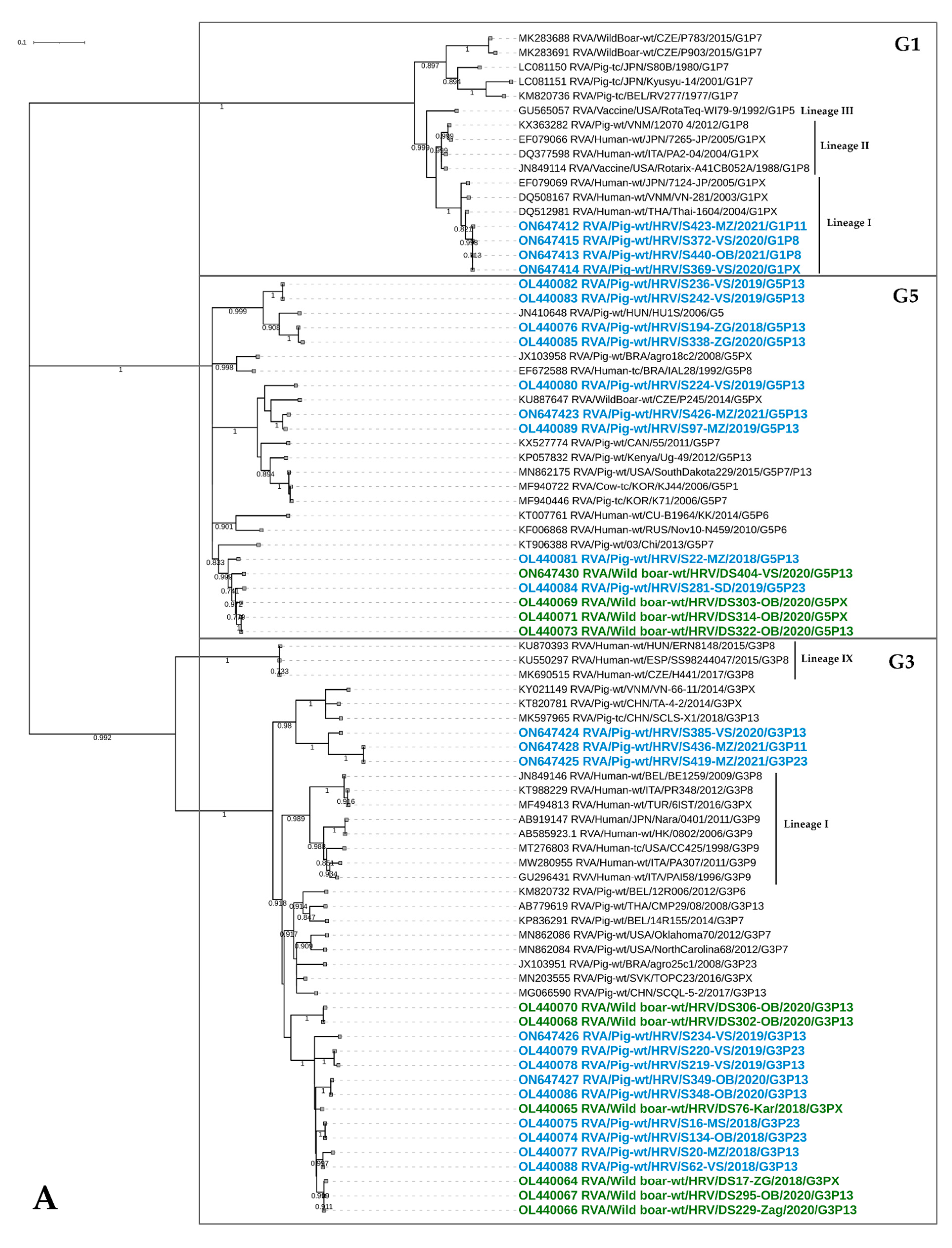 Viruses 14 02028 g003a 550