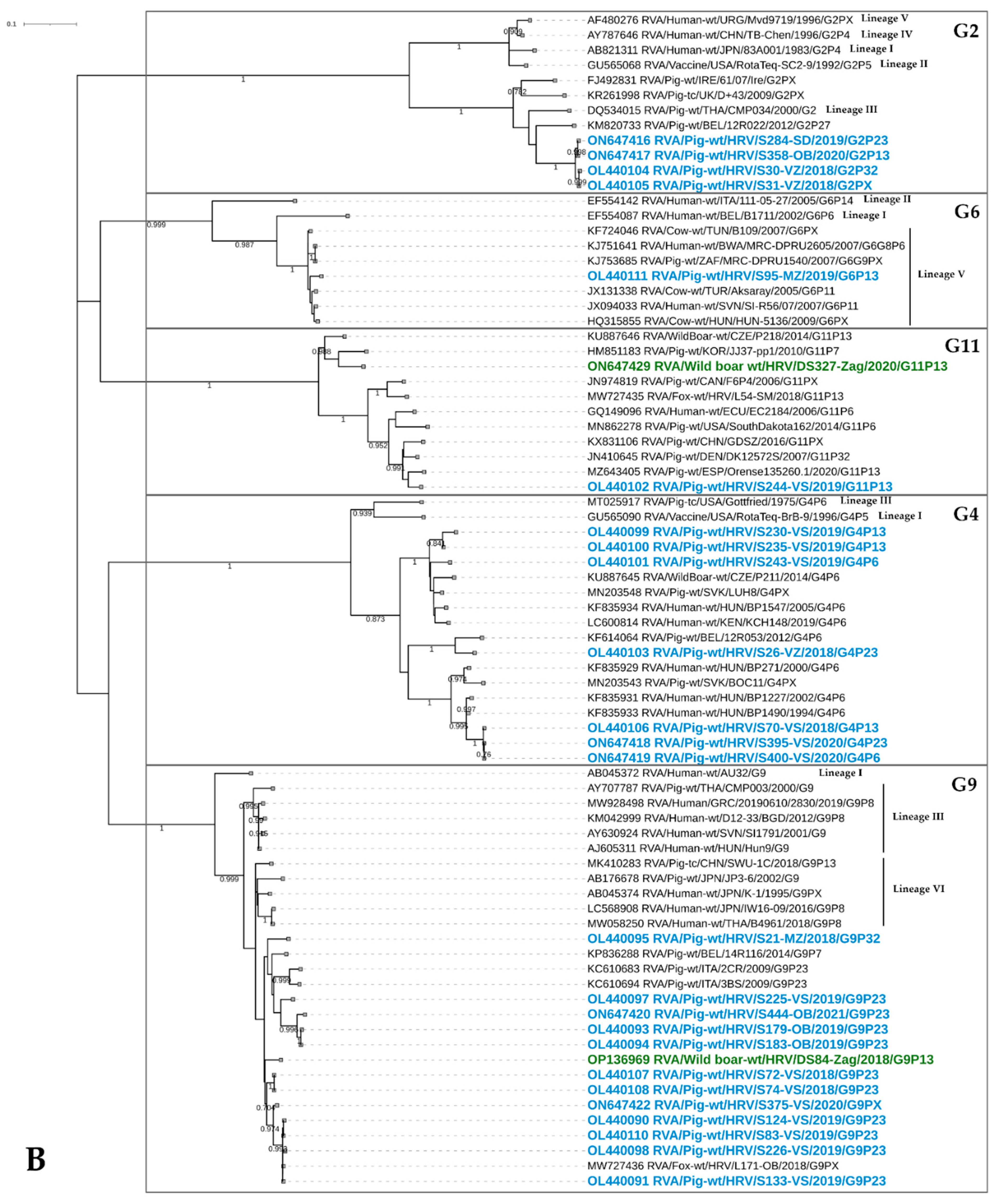 Viruses 14 02028 g003b 550