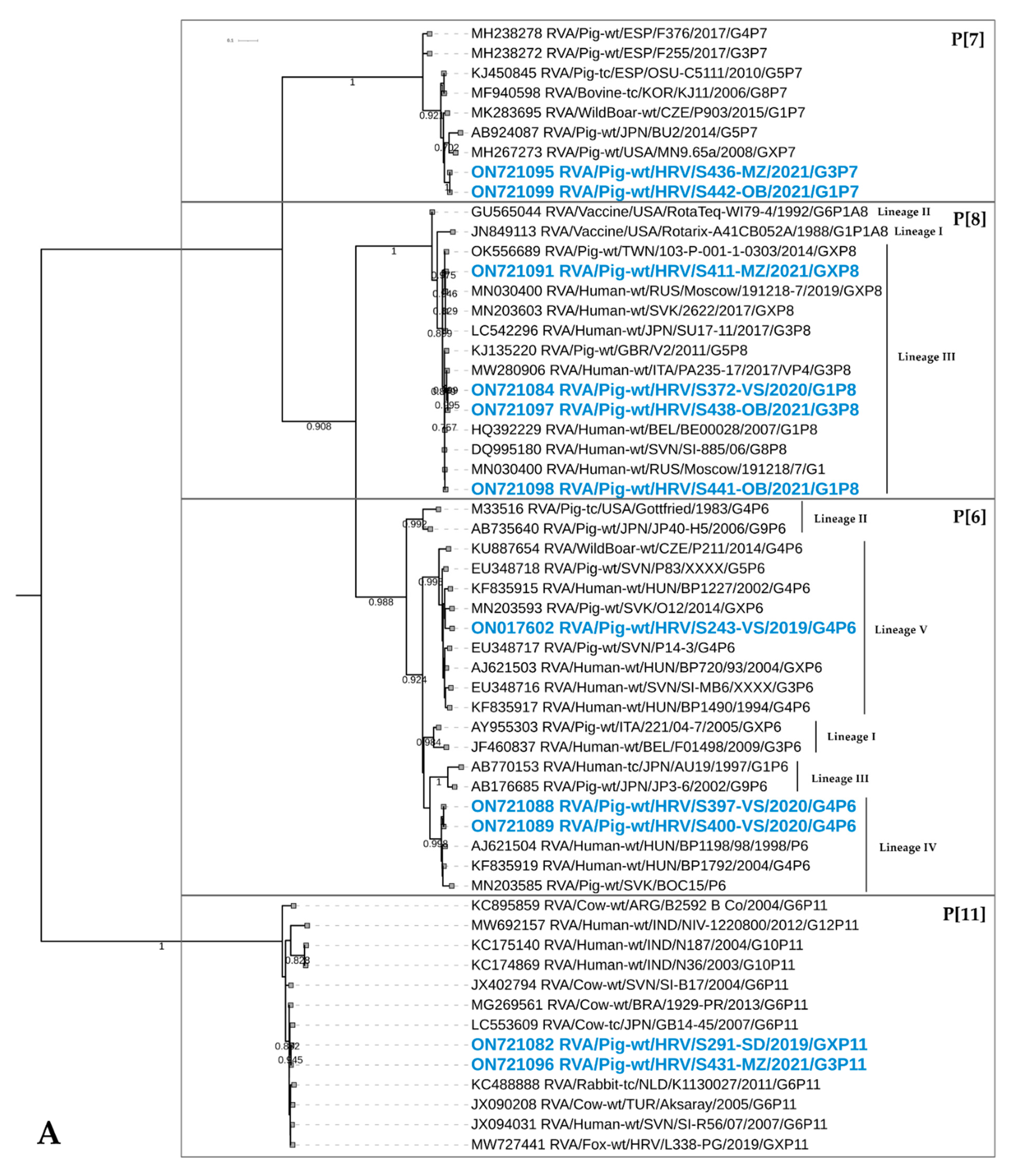 Viruses 14 02028 g004a 550
