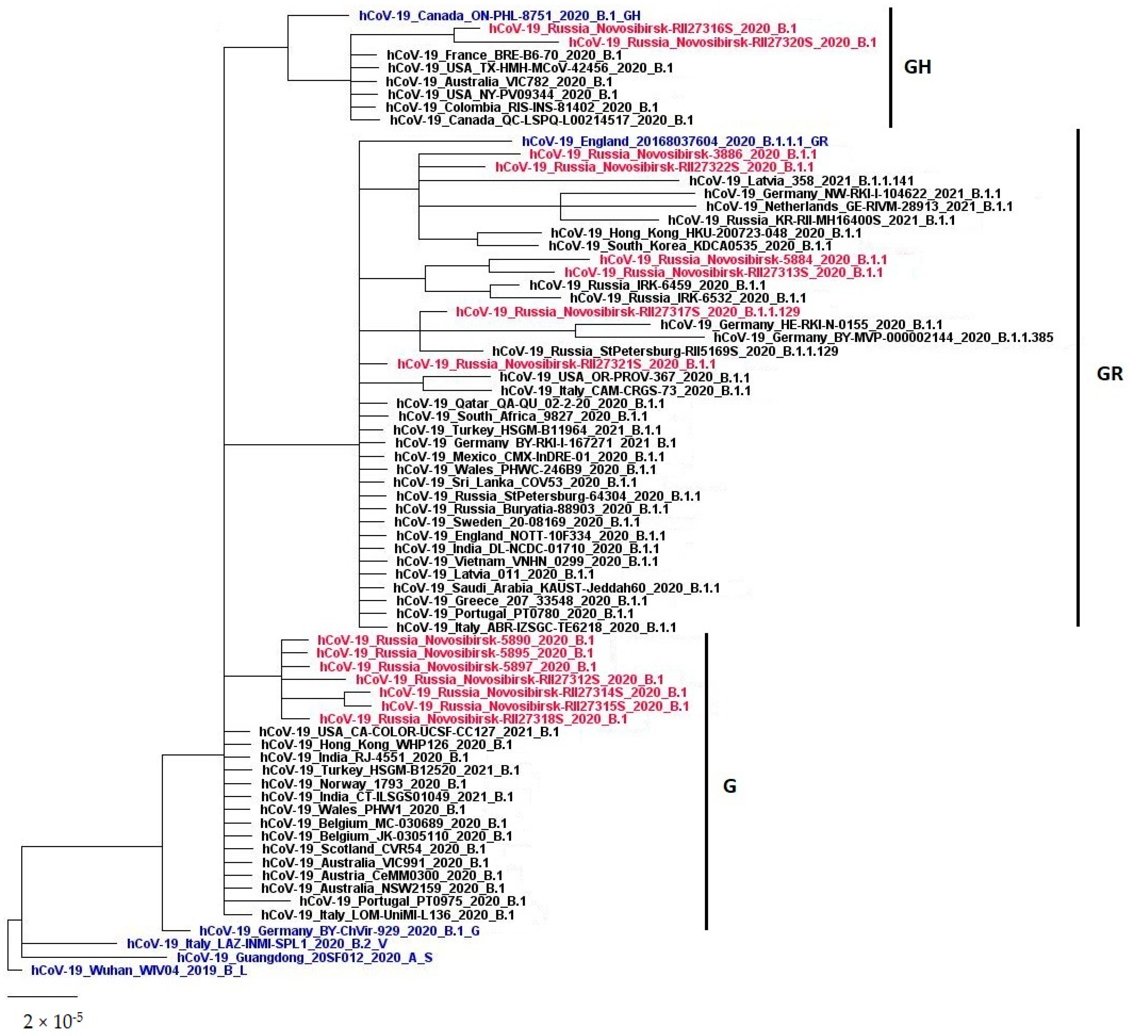 Viruses 14 02036 g004
