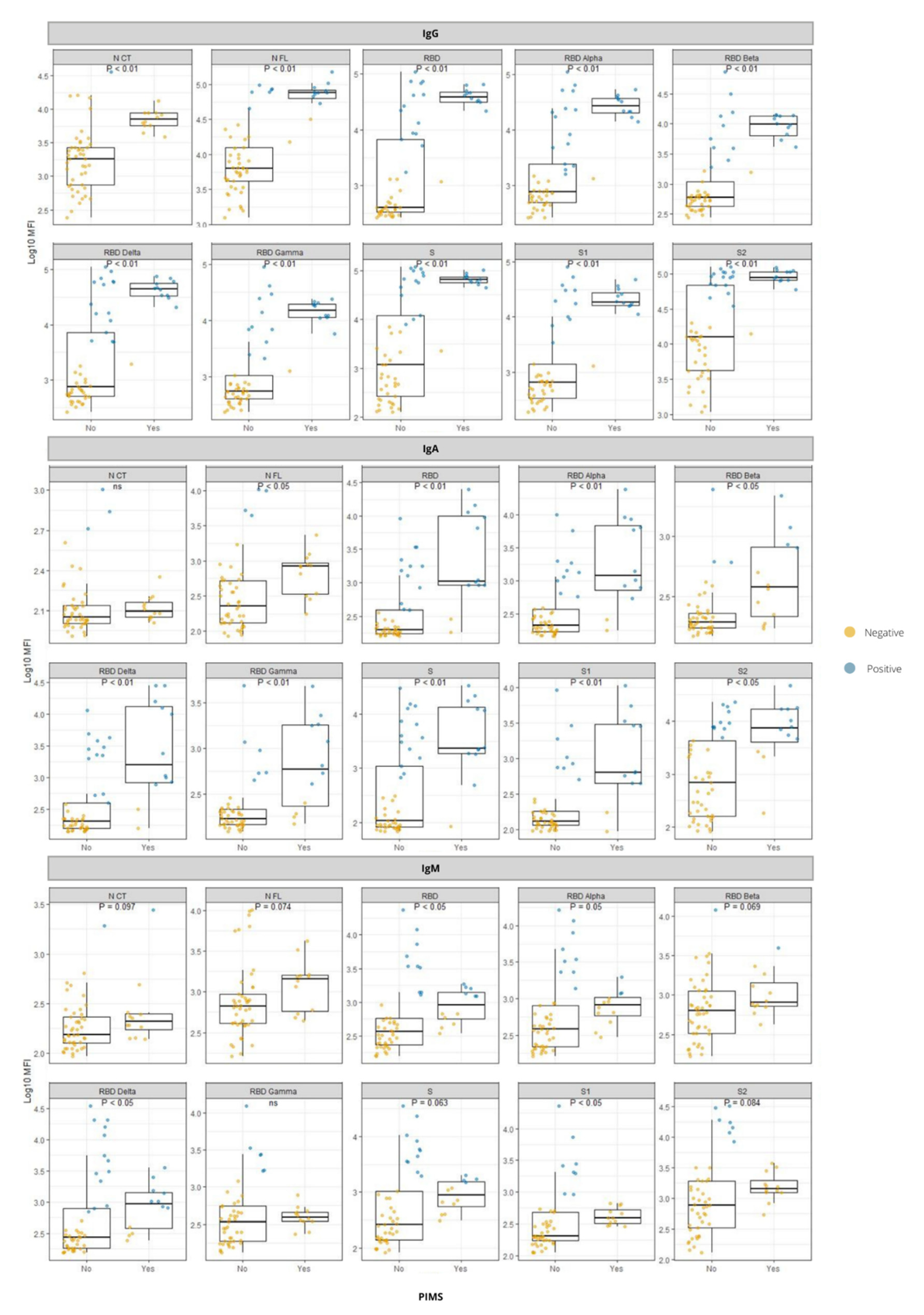 Viruses 14 02039 g002