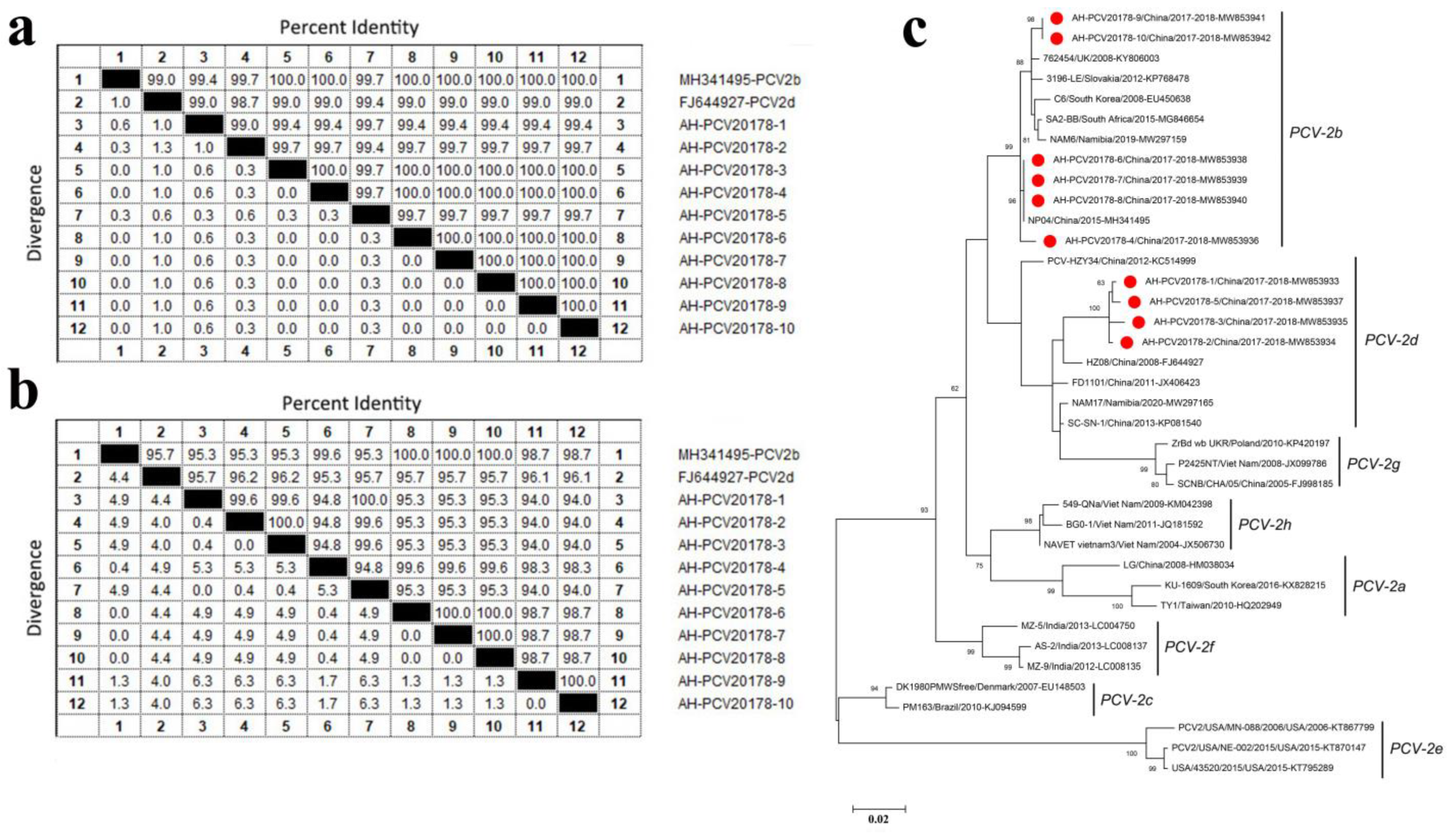 Viruses 14 02048 g004 Viruses 14 02048 g004