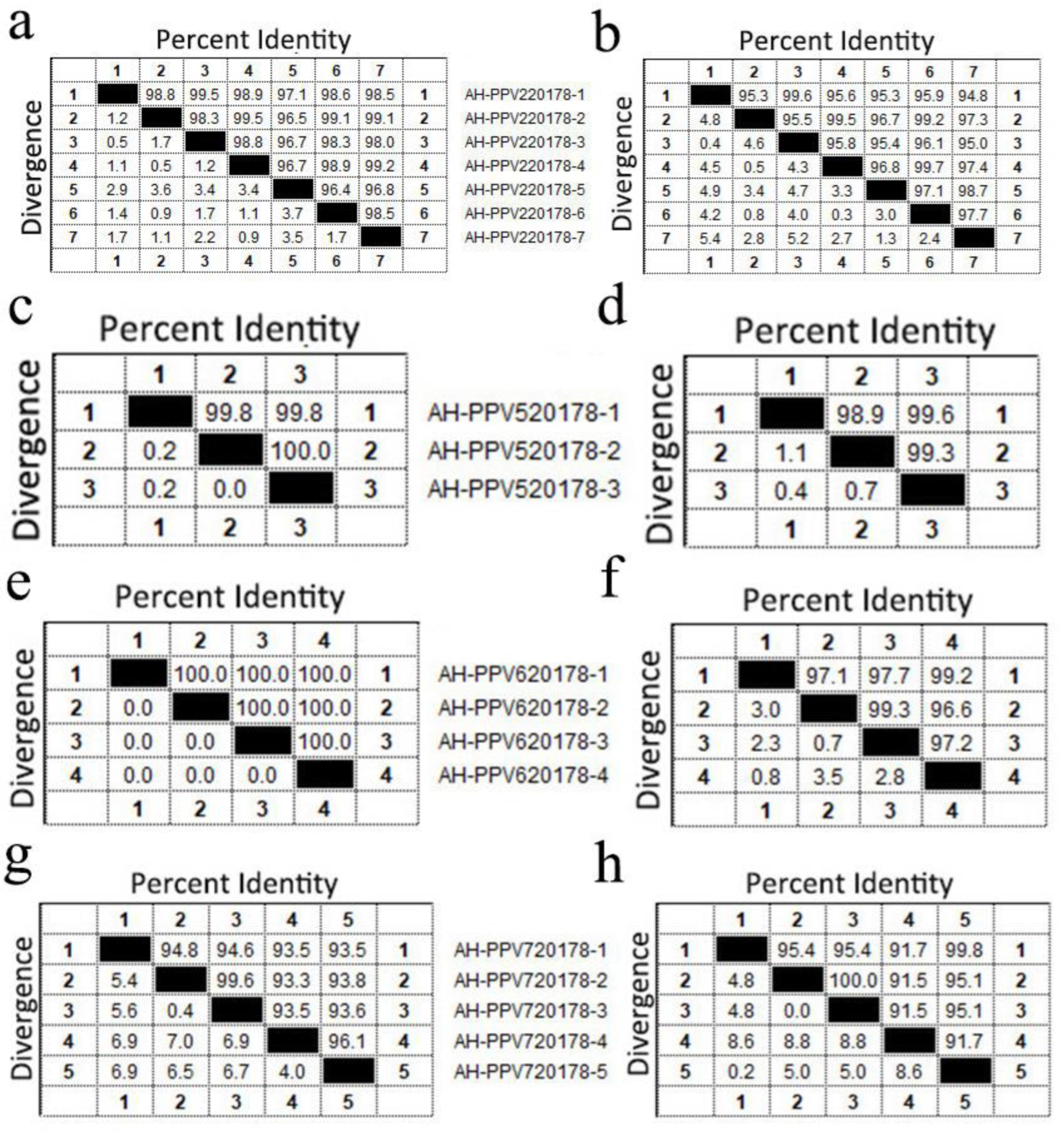 Viruses 14 02048 g006 Viruses 14 02048 g006