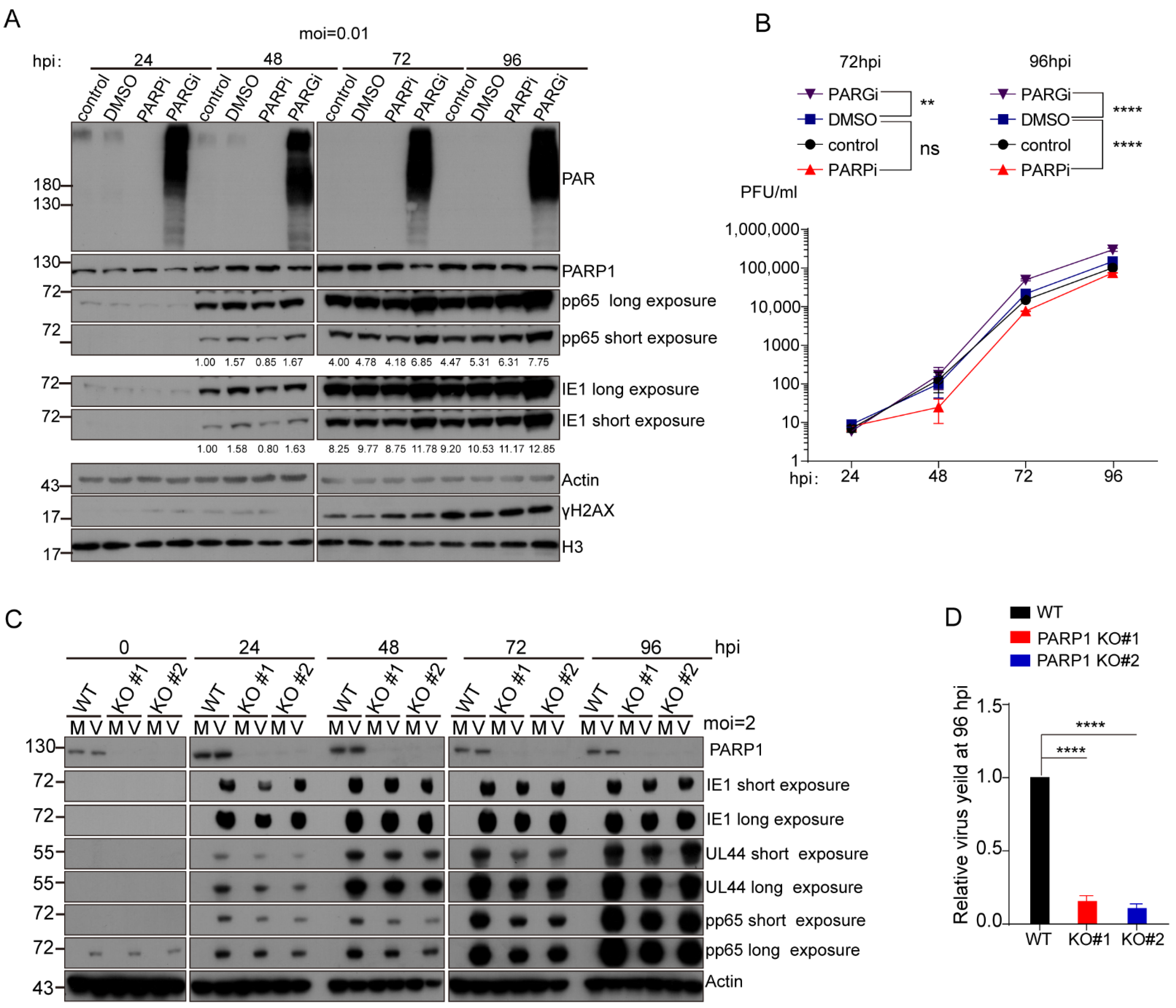 Viruses 14 02049 g001 Viruses 14 02049 g001